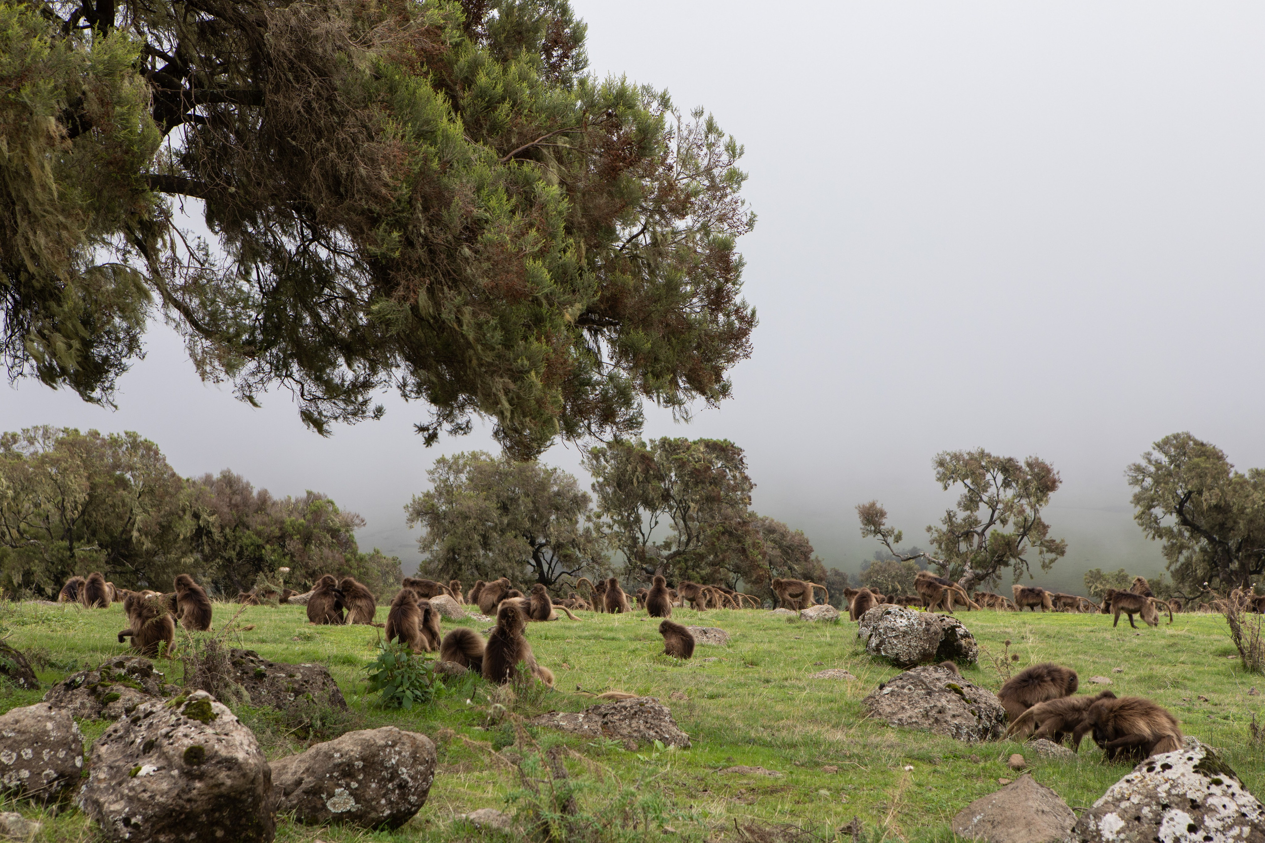 Ethiopia. Documentary, lifestile photographer in Morocco Marina Chaikovskaia