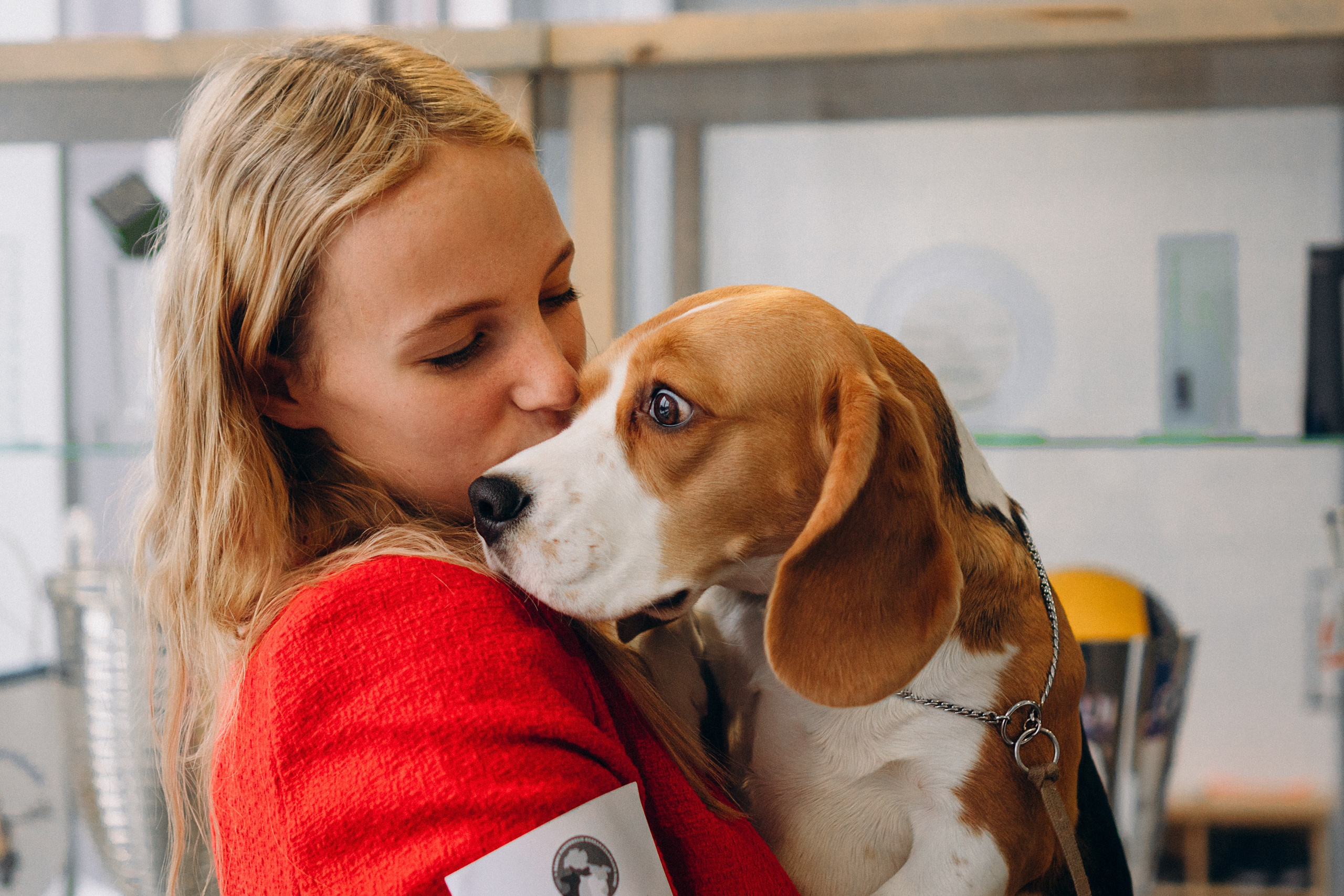 Luure & Cascada. Kat Laisaar — Pet photographer in Tallinn