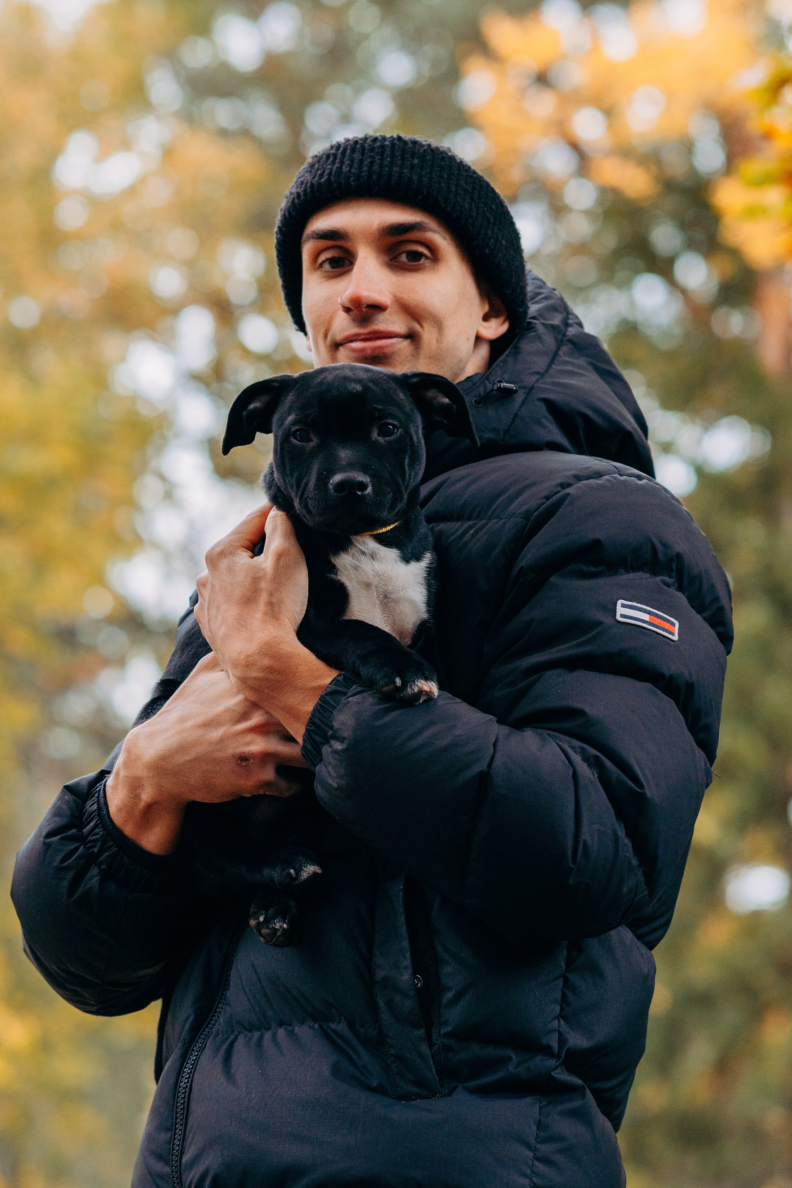 Staffordshire Bull Terriers Meetup. Kat Laisaar — Pet photographer in Tallinn