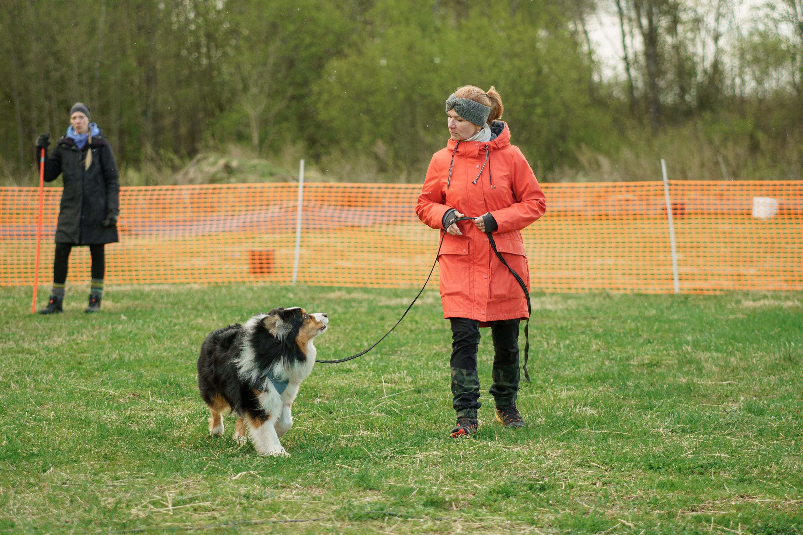 Herding Days, 26 apr. 2025. Kat Laisaar — Pet photographer in Tallinn