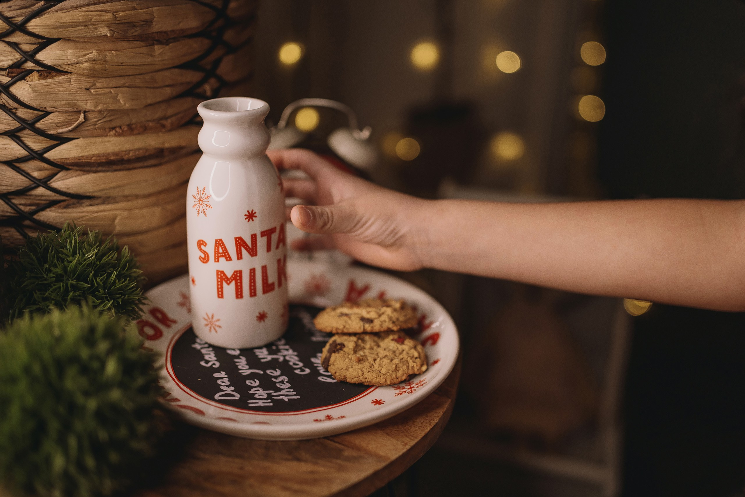 11.28.2025 Christmas Photoshoot. Wedding family event photographer in Chicago Nick Yushevich