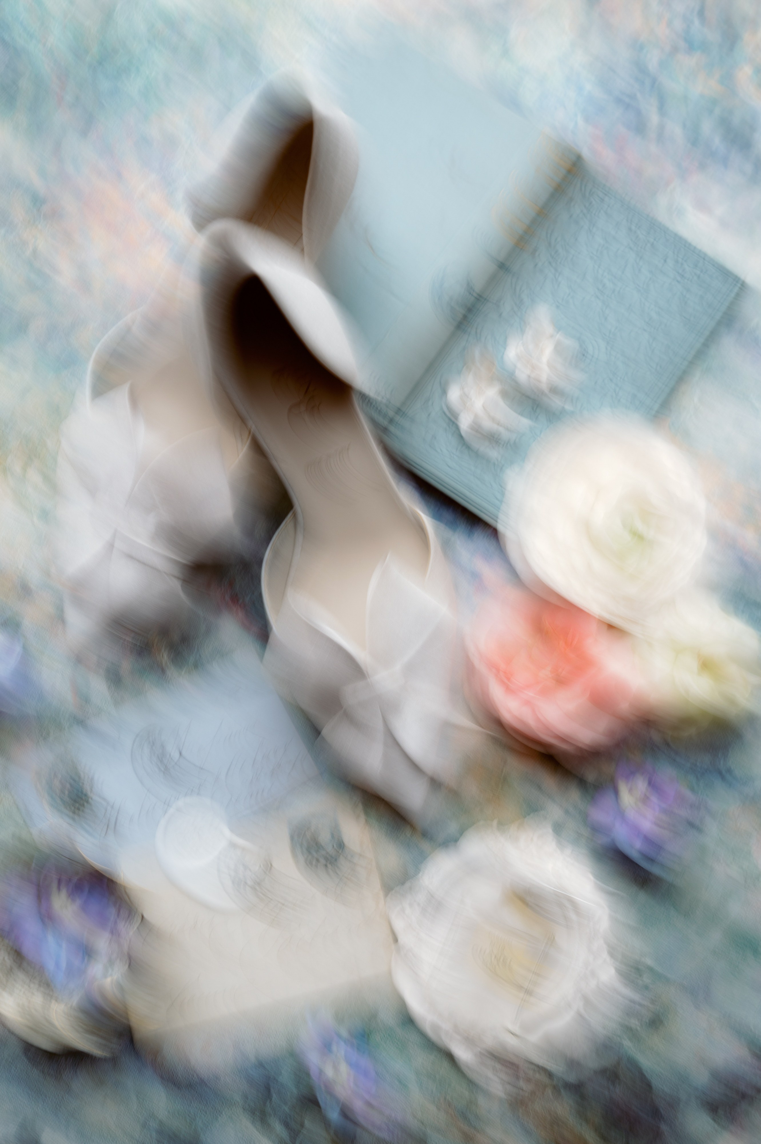 Sabrina and Pranav. Wedding photographer and videographer New York | New Jersey