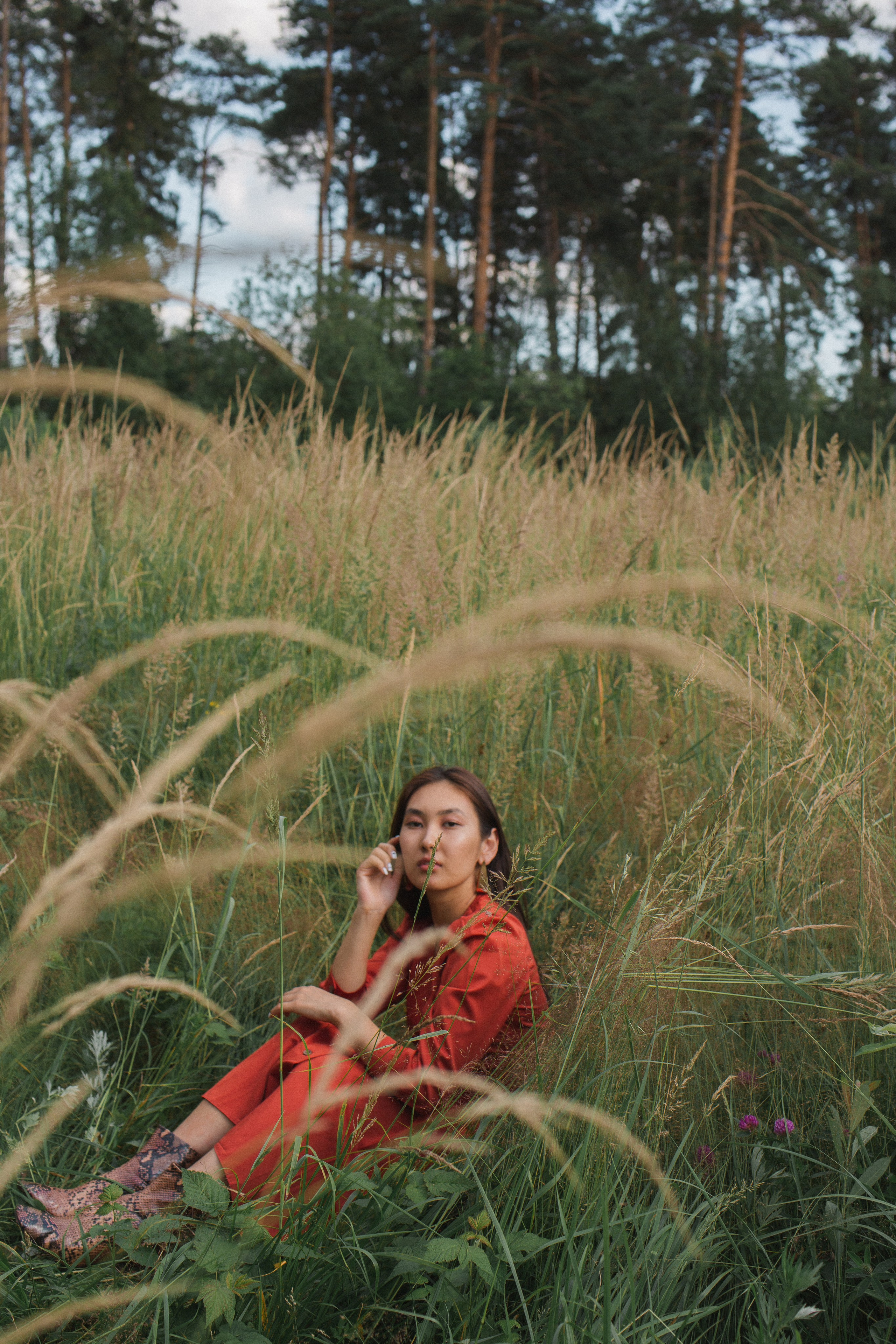 Aijan. Forest. Photographer Vladmir Gladkov