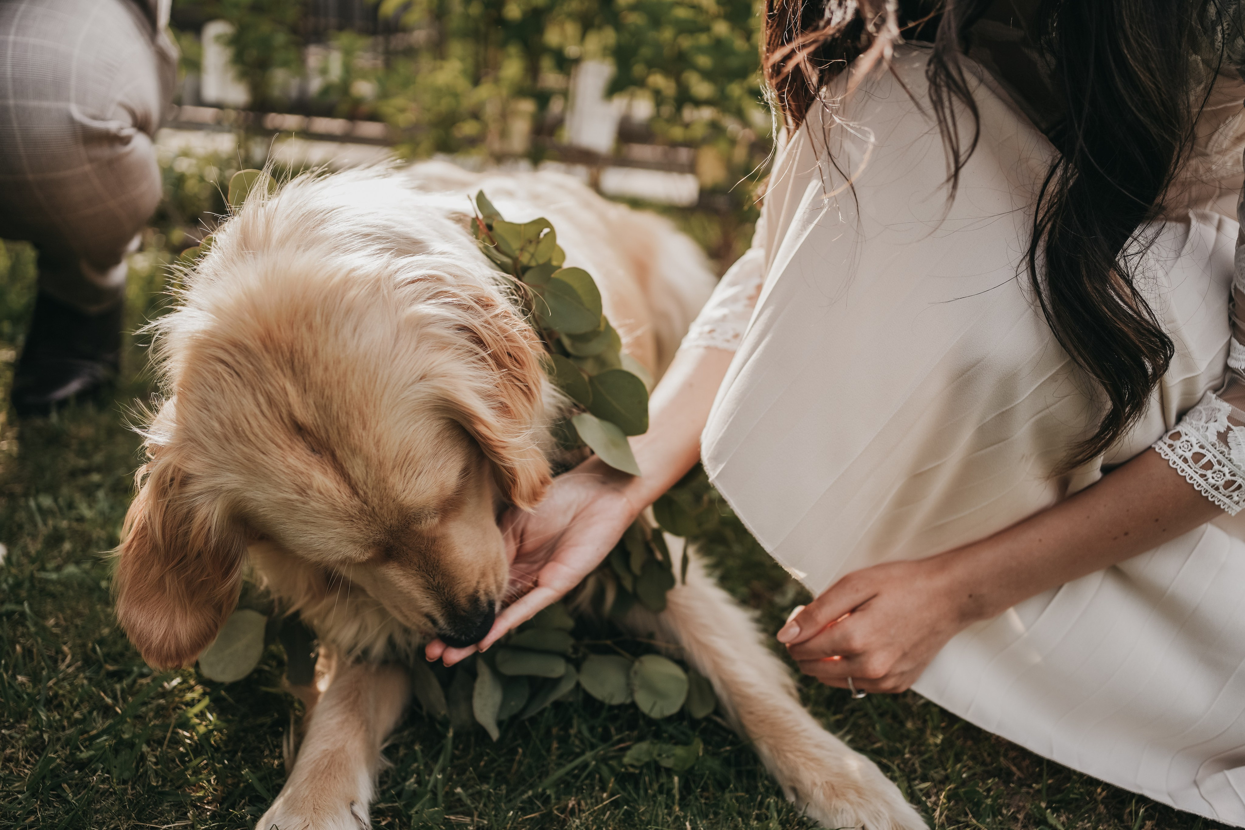 Fotograf stare civila Botosani. Fotograf Nunta Iasi - Hearts & Pictures