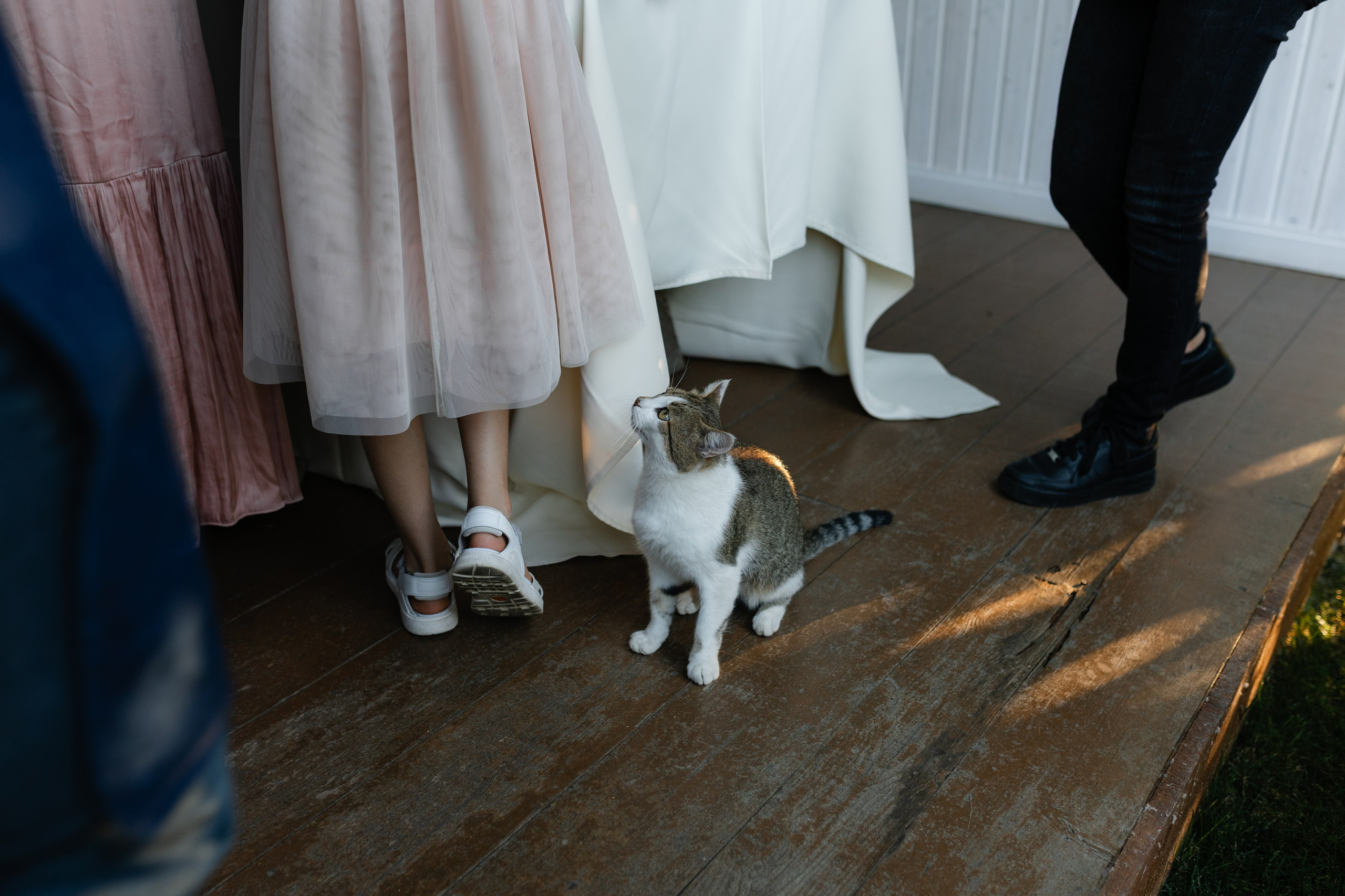 Natalia & Costin. Main