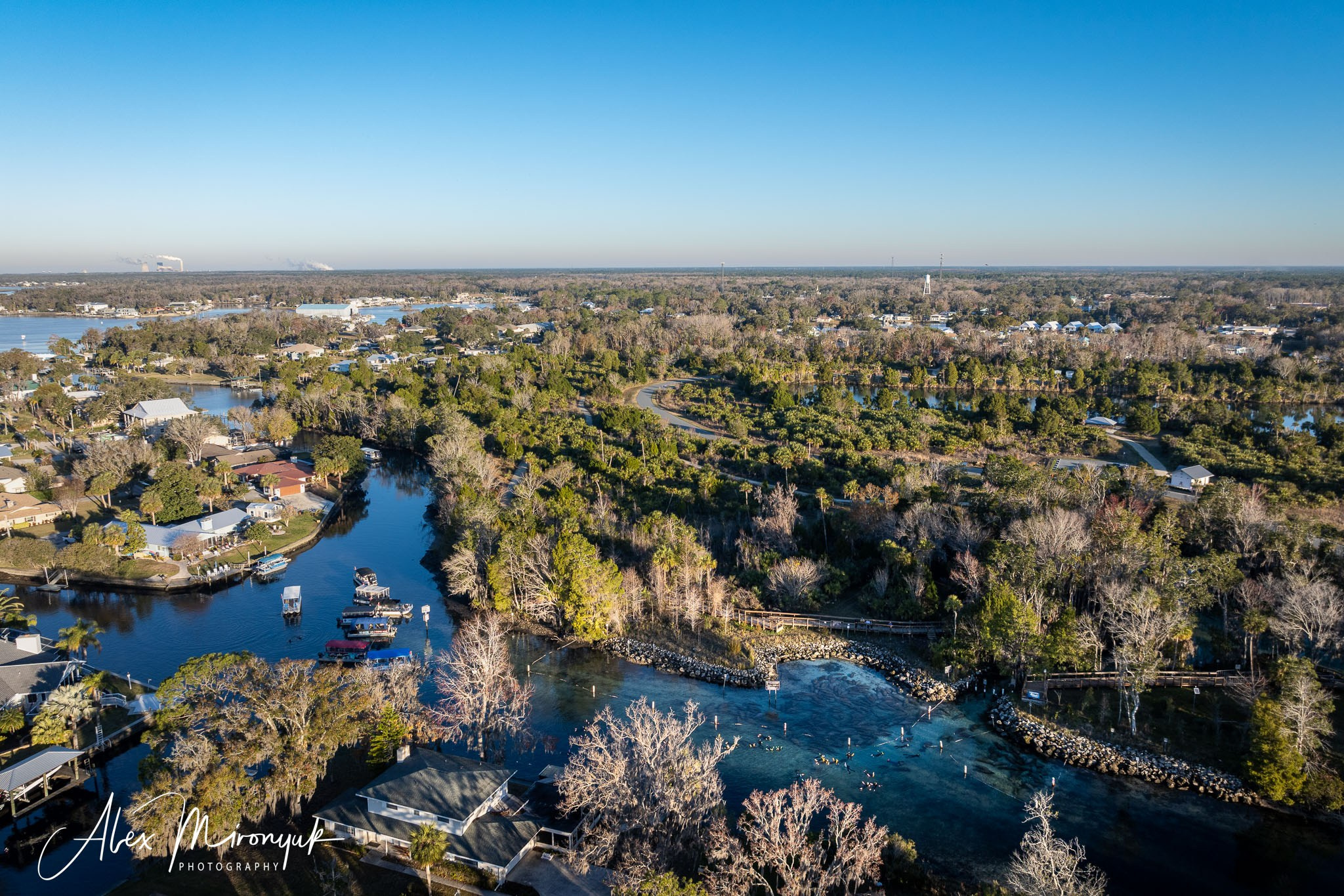 Exploring True Florida: Springs, Rivers & Manatees by Canoe. Pet, Senior, Landscape, portrait studio, photographer in Miami and Sou
