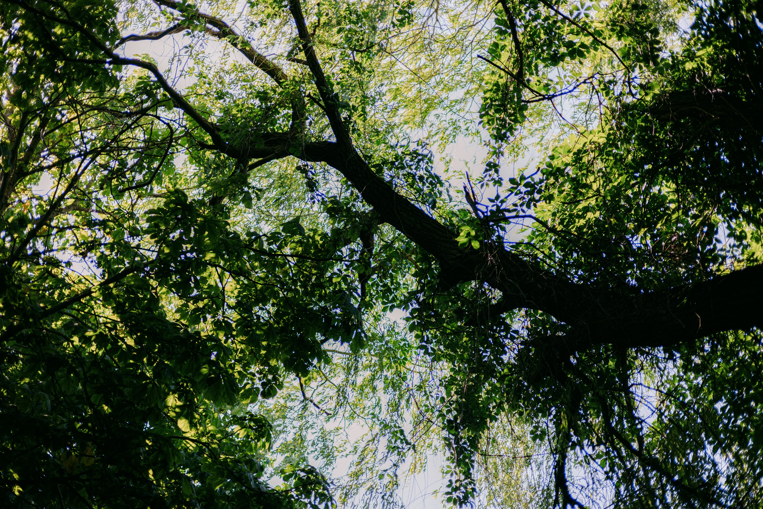 Sabīne x ĀTRSKADRS. Fotografė Aleksandra Samozvanova