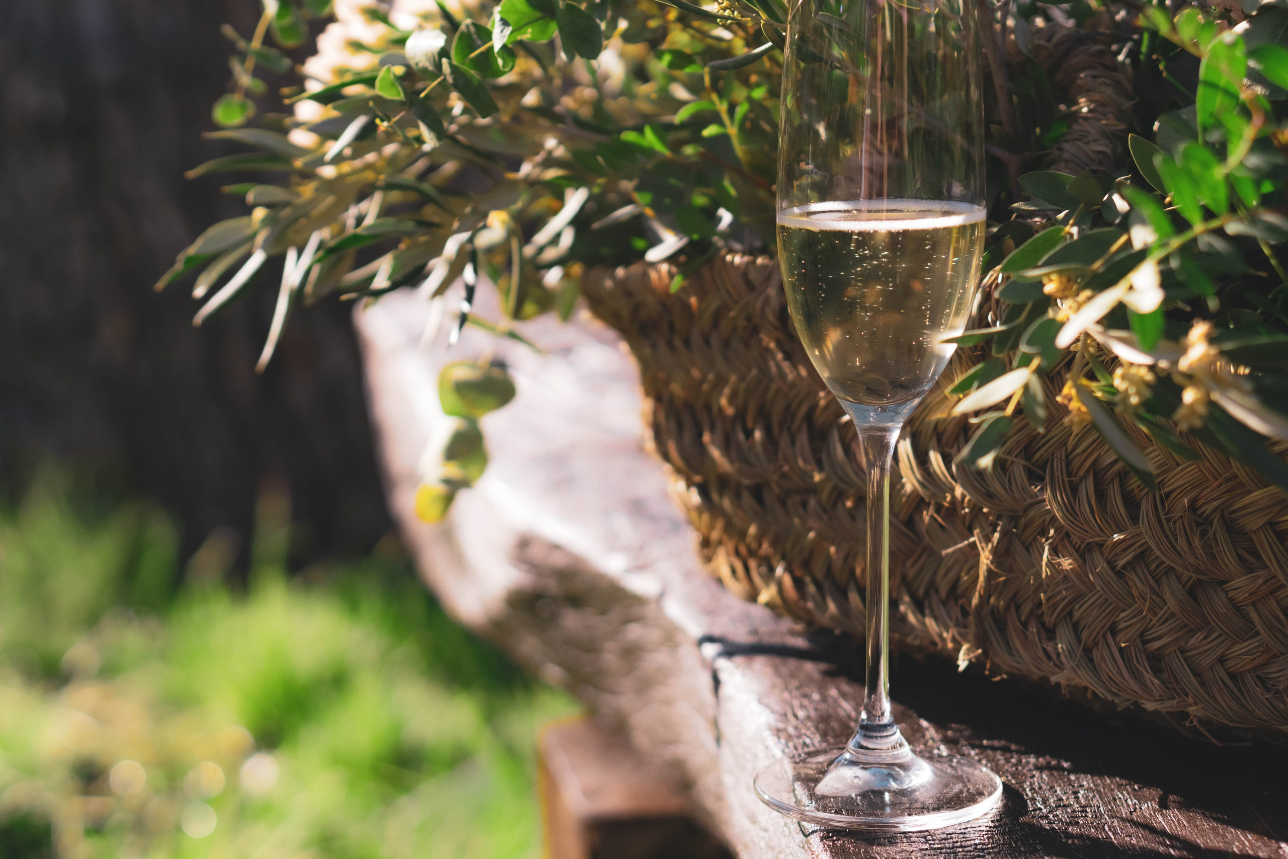 Miriam&Pep Boda. Alba del Norte Studio