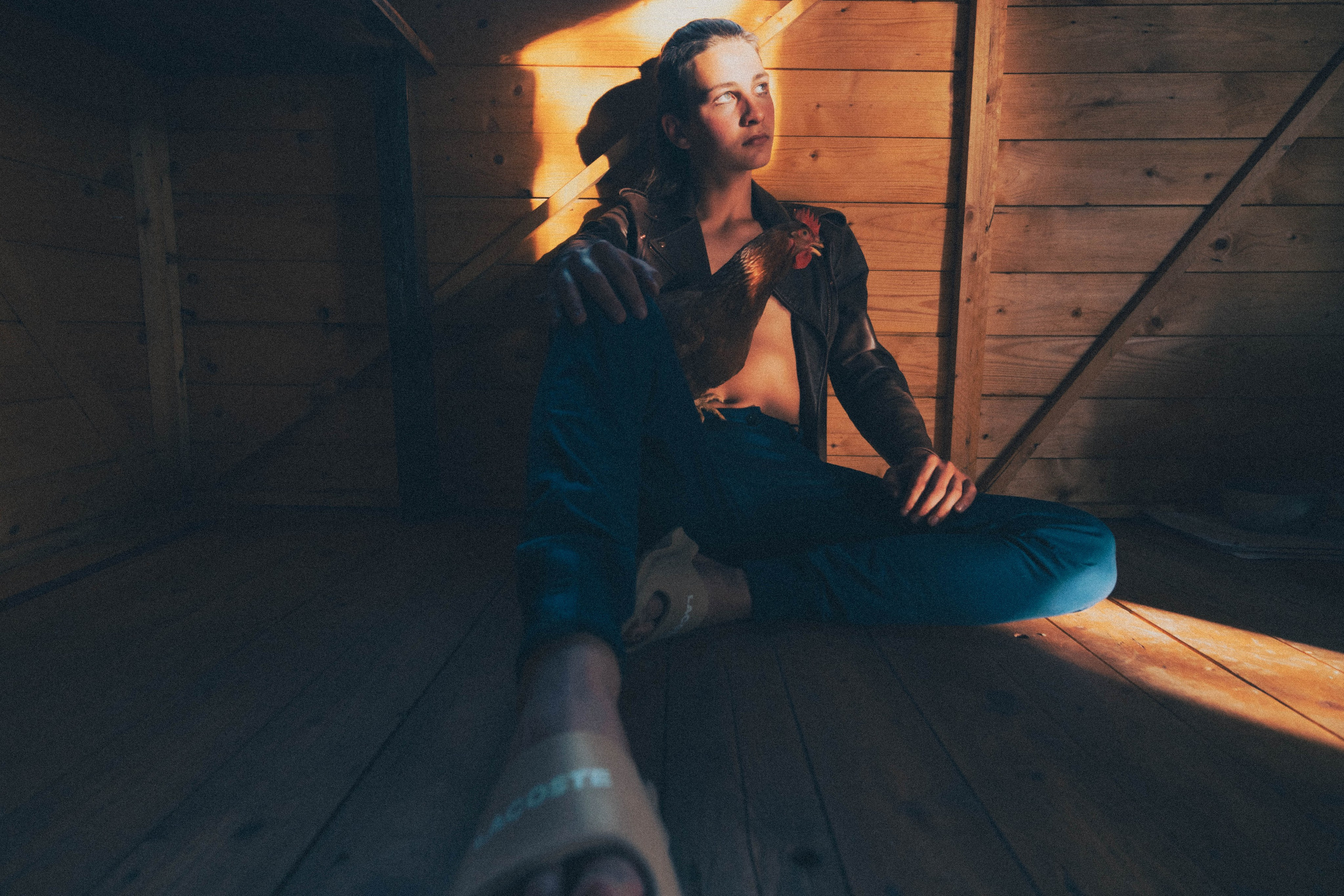 Niko. Alba del Norte Studio