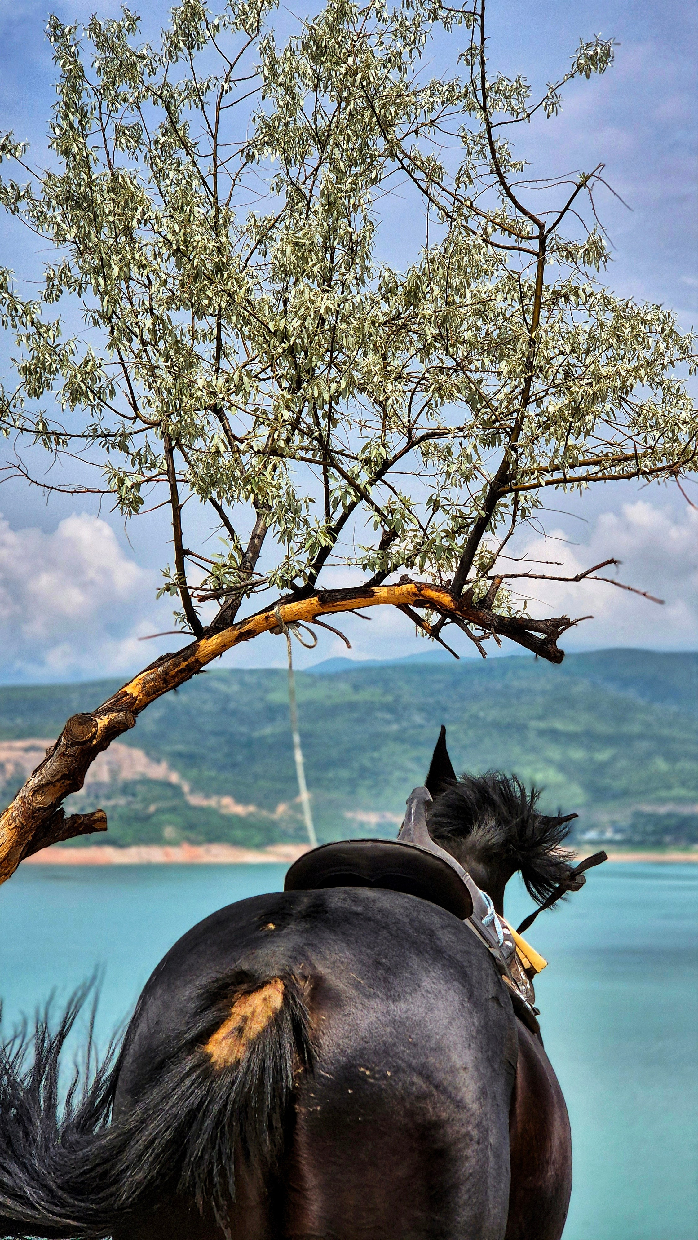 Uzbekistan 2024. Photographer Marina, city of Nuremberg