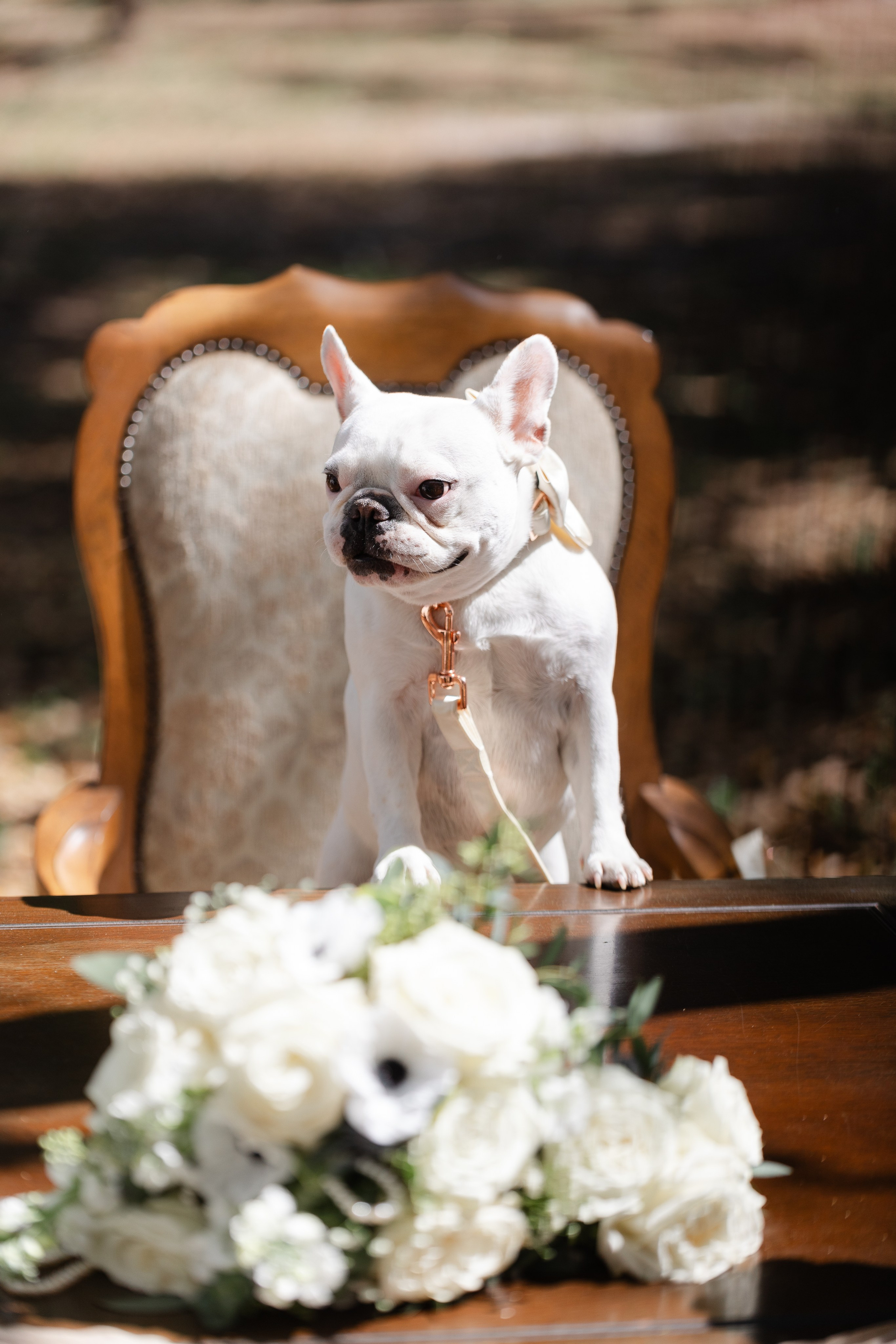 LGBT wedding Katie & Dana. My name is Kate and I am family and wedding photographer