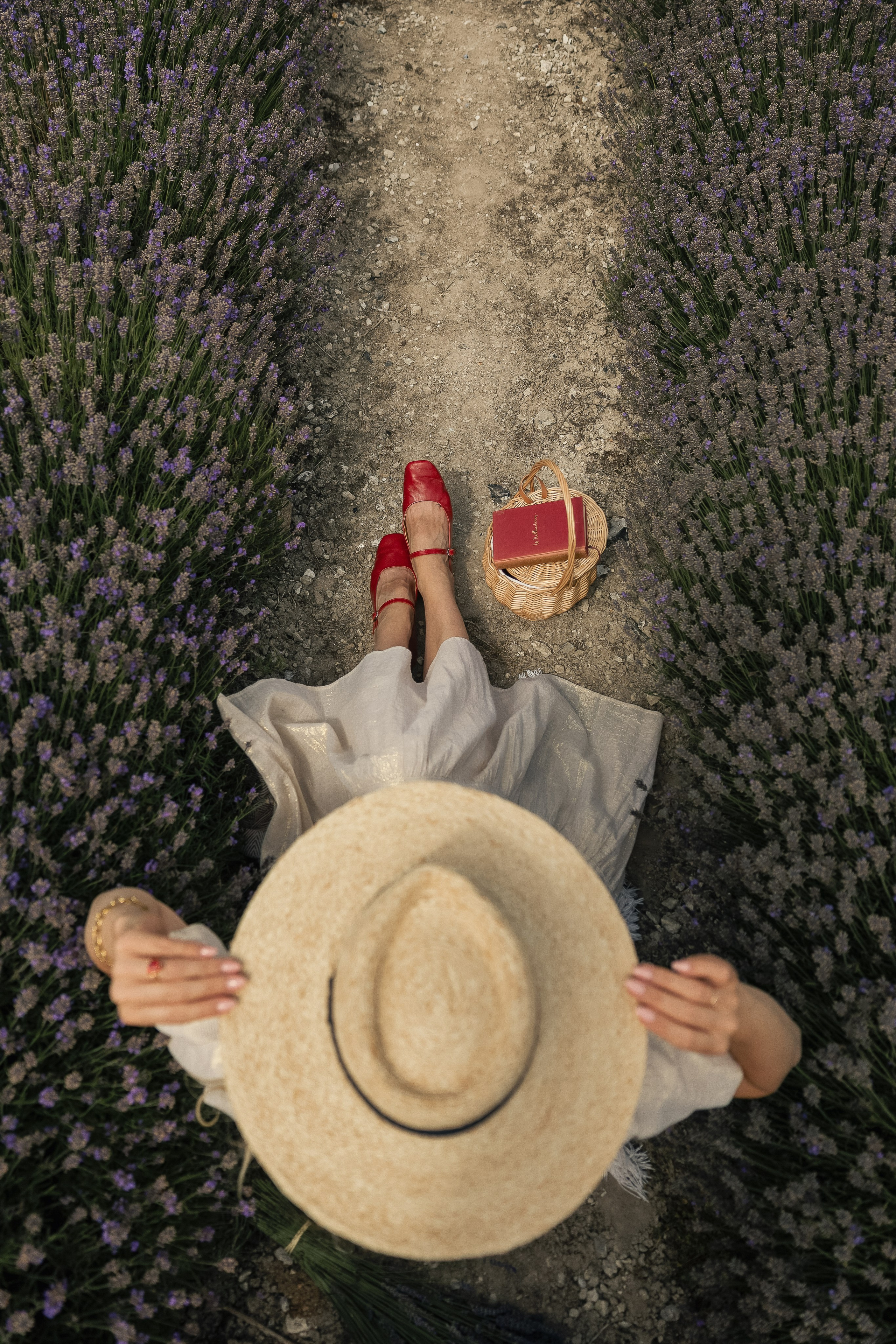 Lavender Picnics. PHOTOGRAPHER IN LONDON