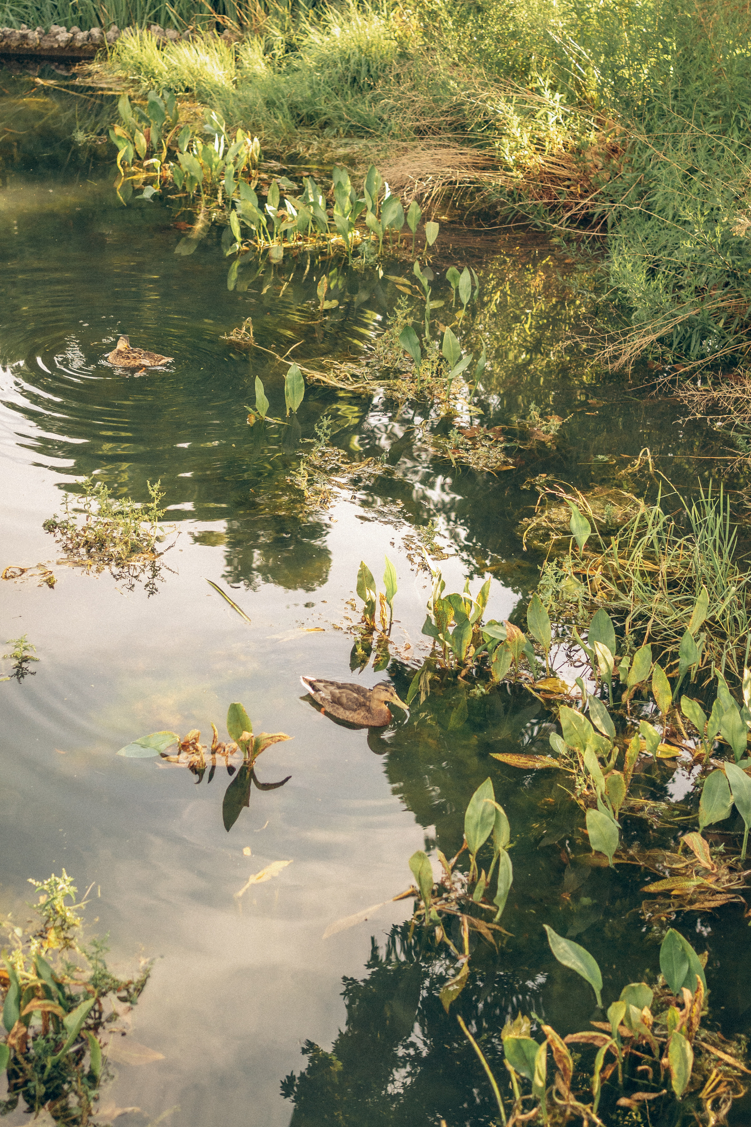 Family Husty. Photographer and videographer in Norway and Slovakia Andrea Zemko