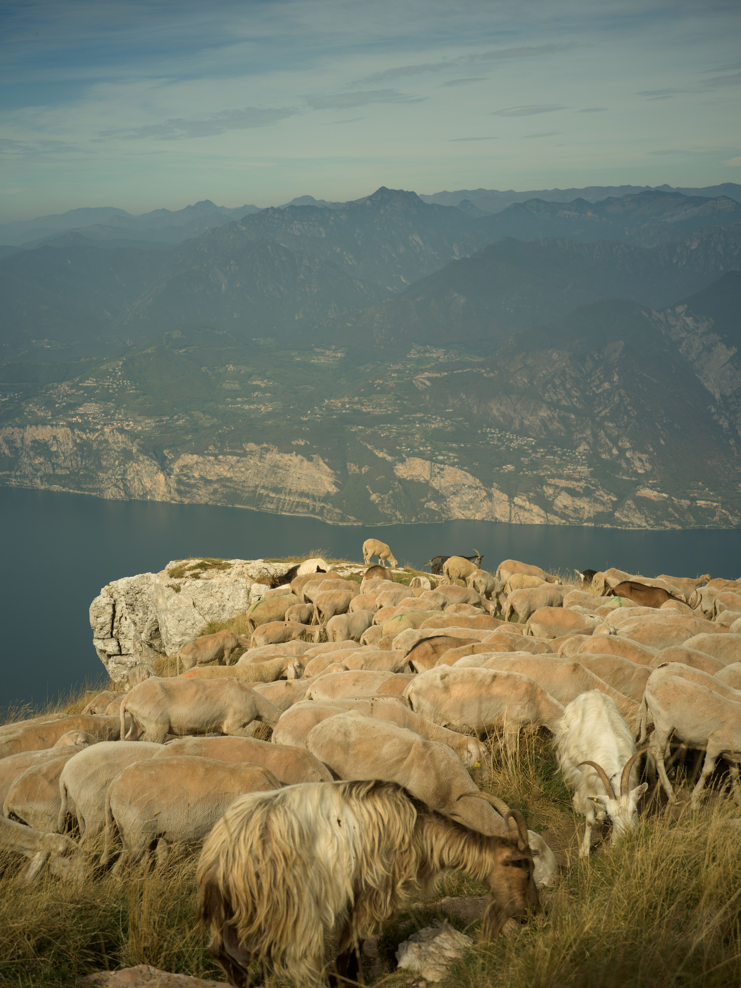 Lake Garda Proposal & Elopement Photographer | Packages from €1200. Ale Kor — Photographer in Italy | Lake Como, Lake Garda & Dolomites