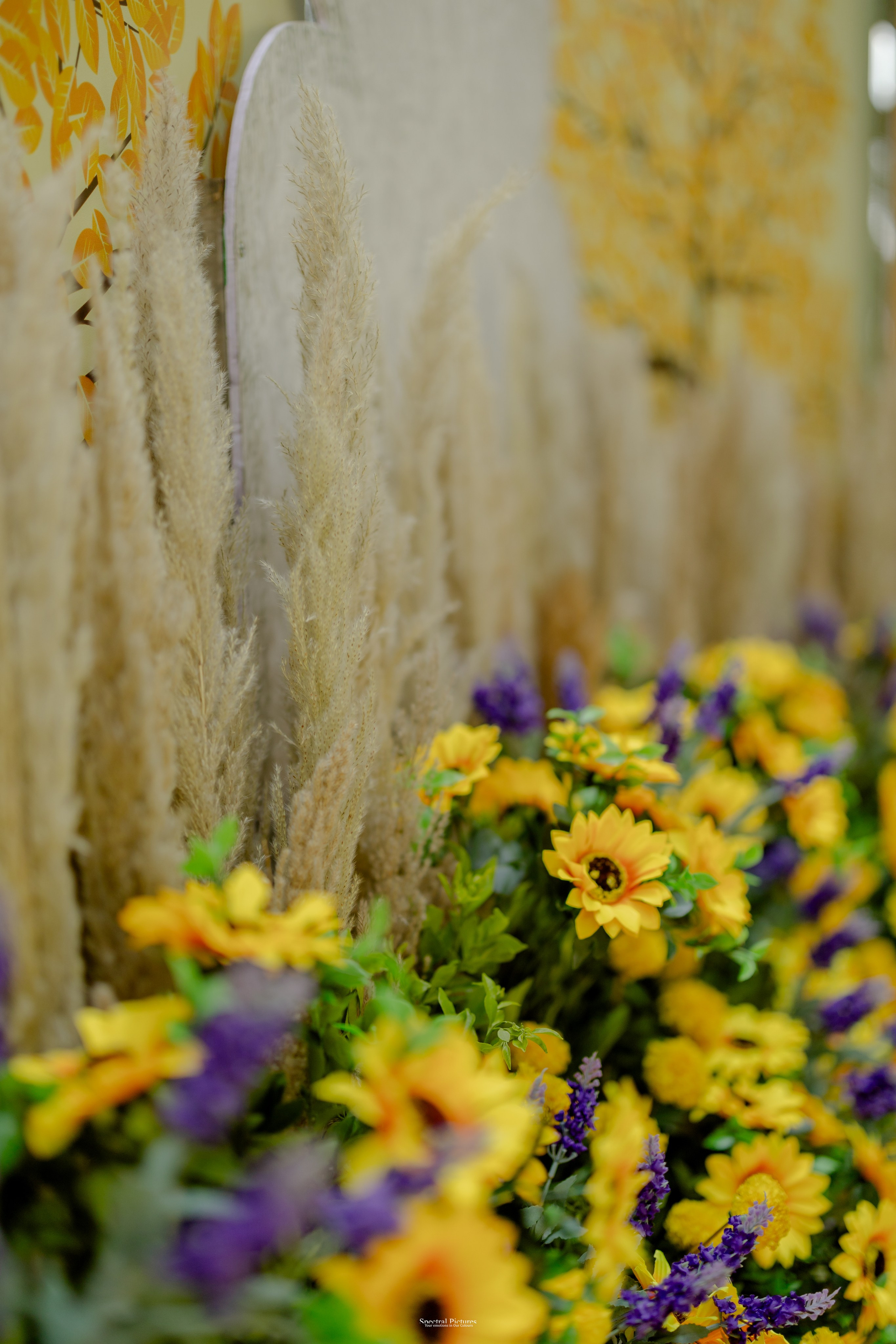 “Bob’s Bar to The Big Day — Starring Amulya & Aditya”