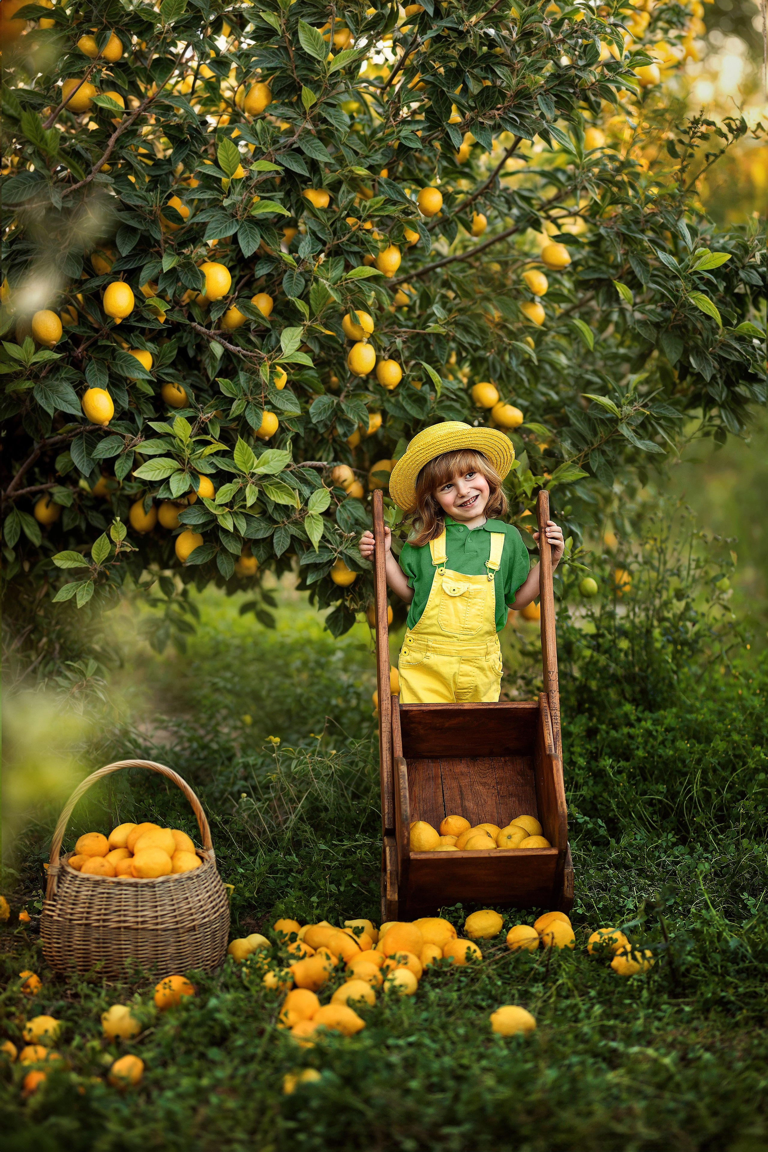 Фотосессия в лимонах. Фотограф в Турции, Анталии, Кемере, Белеке, Сиде, Каше, Калкане, Фетхие