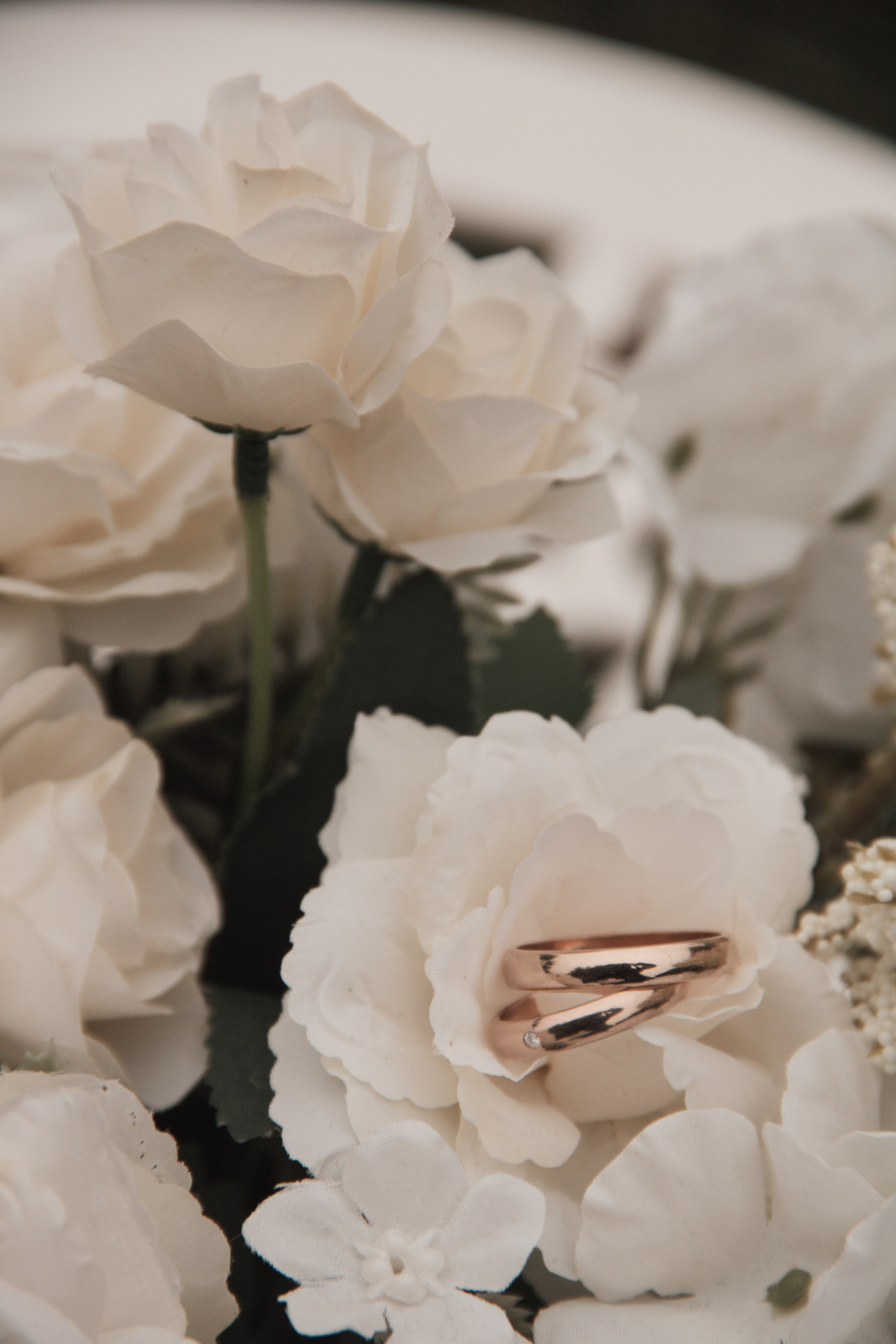 Fotogrāfe Ilze Vanuška