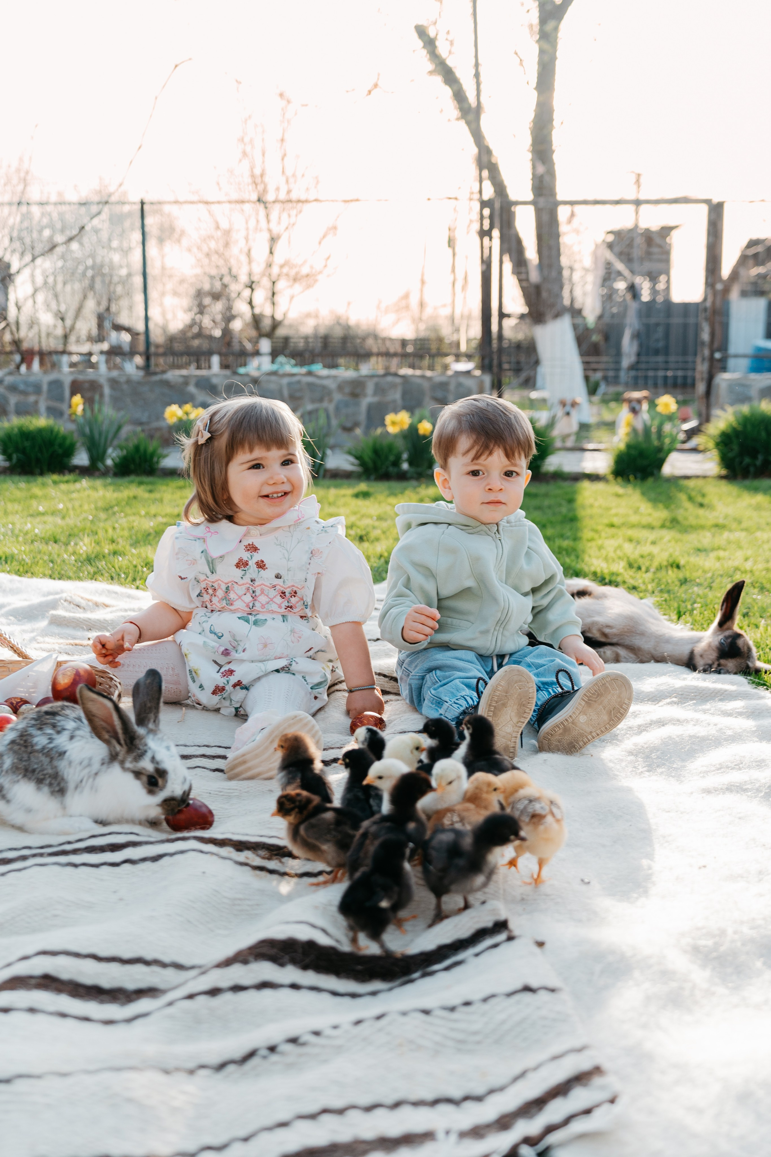 EASTER. Ars Vidi | Digital Solutions