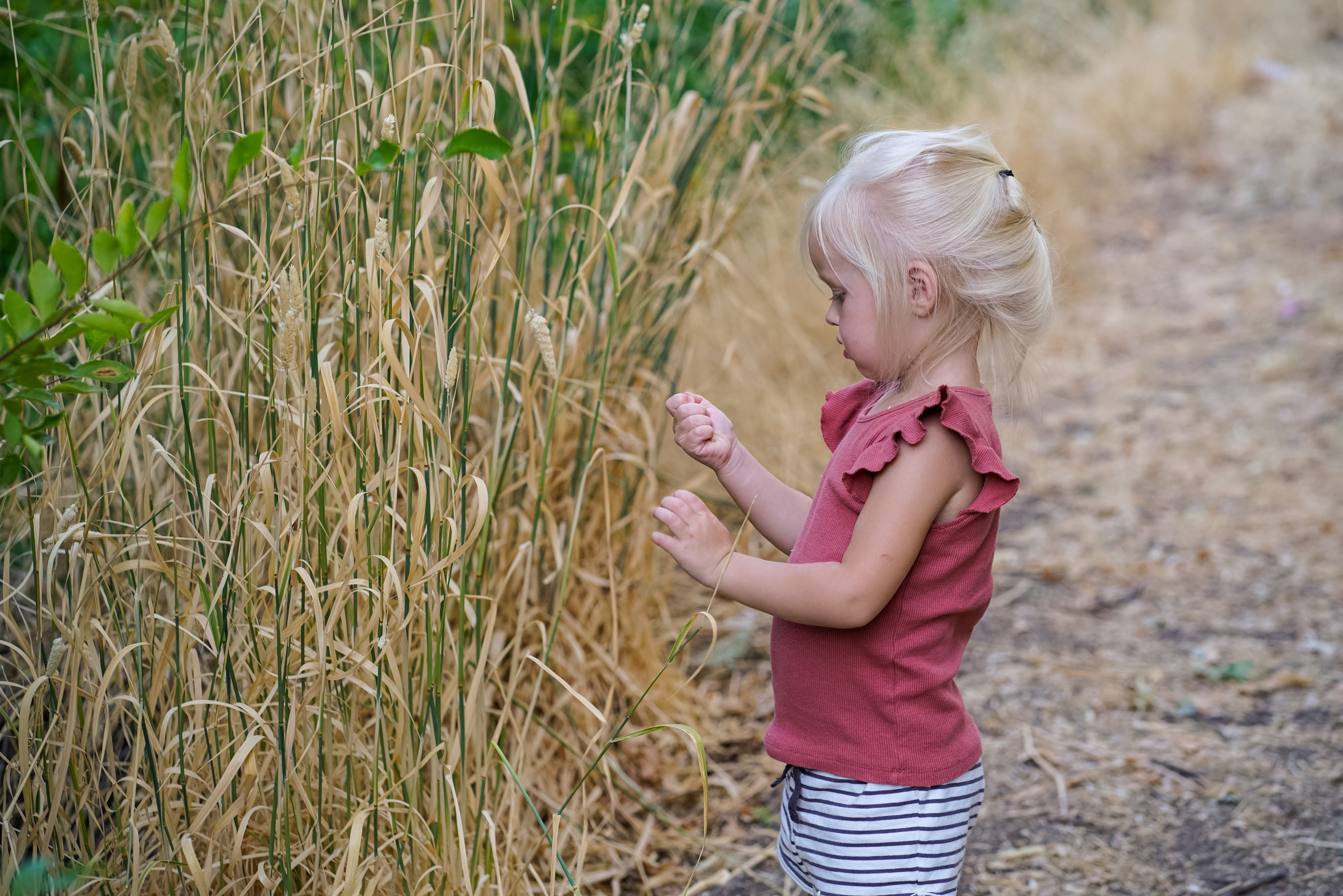 Park. Sacramento Photographer — Olga Maltseva based in California
