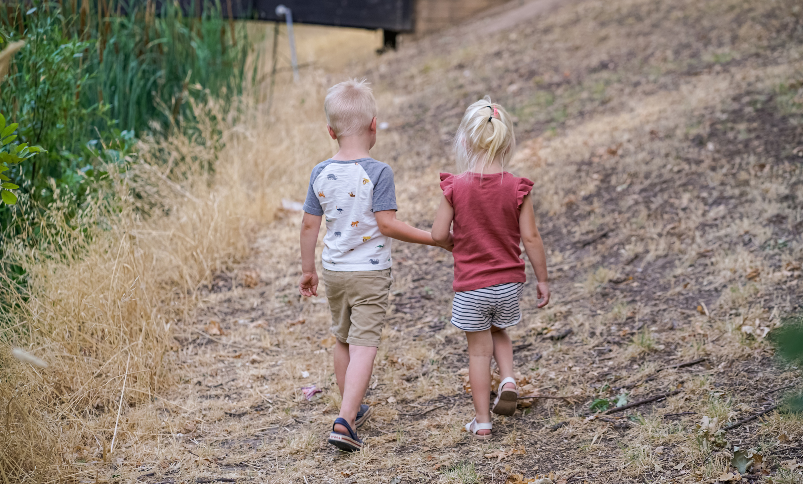 Park. Sacramento Photographer — Olga Maltseva based in California