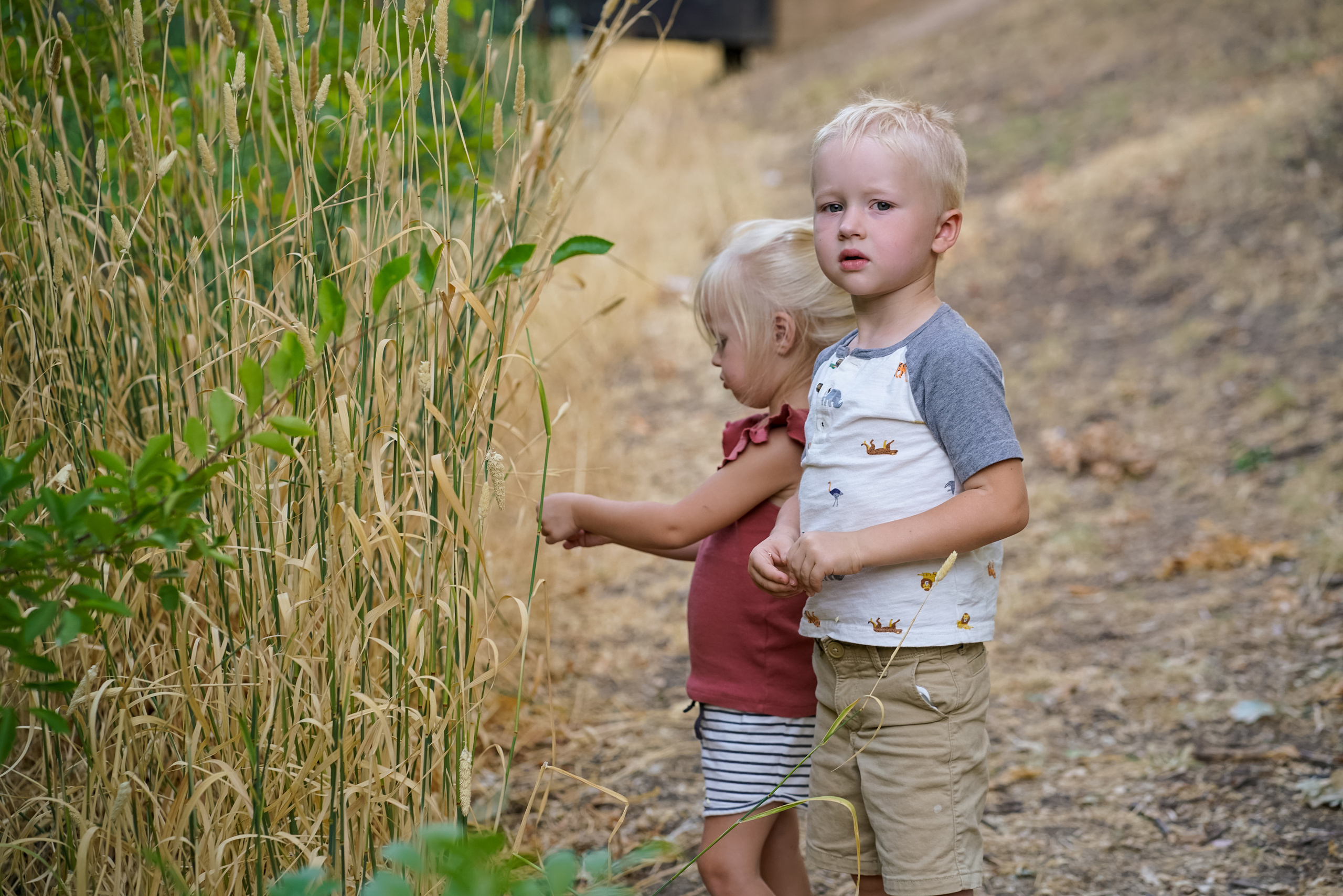 Park. Sacramento Photographer — Olga Maltseva based in California