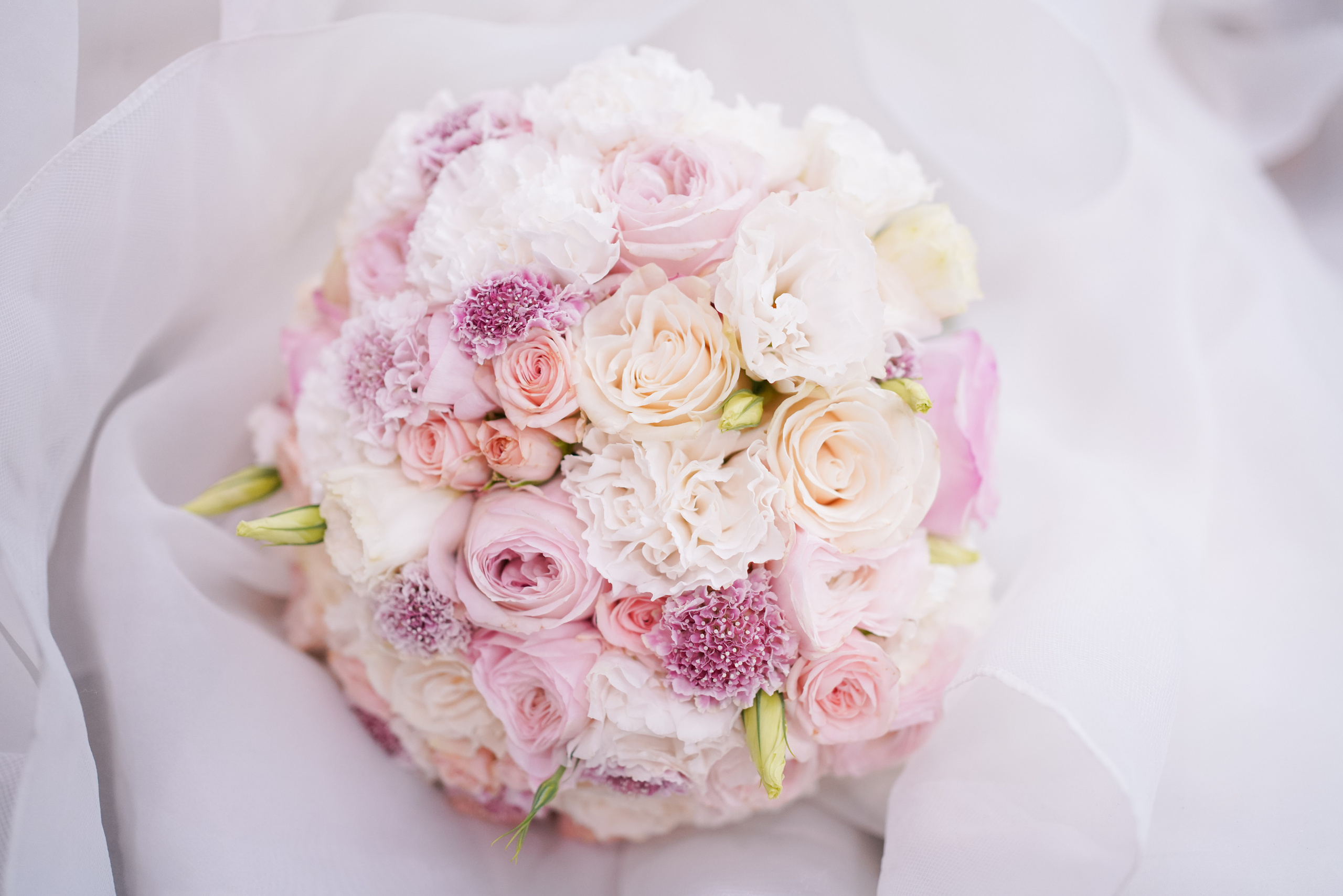 Wedding. Sacramento Photographer — Olga Maltseva based in California