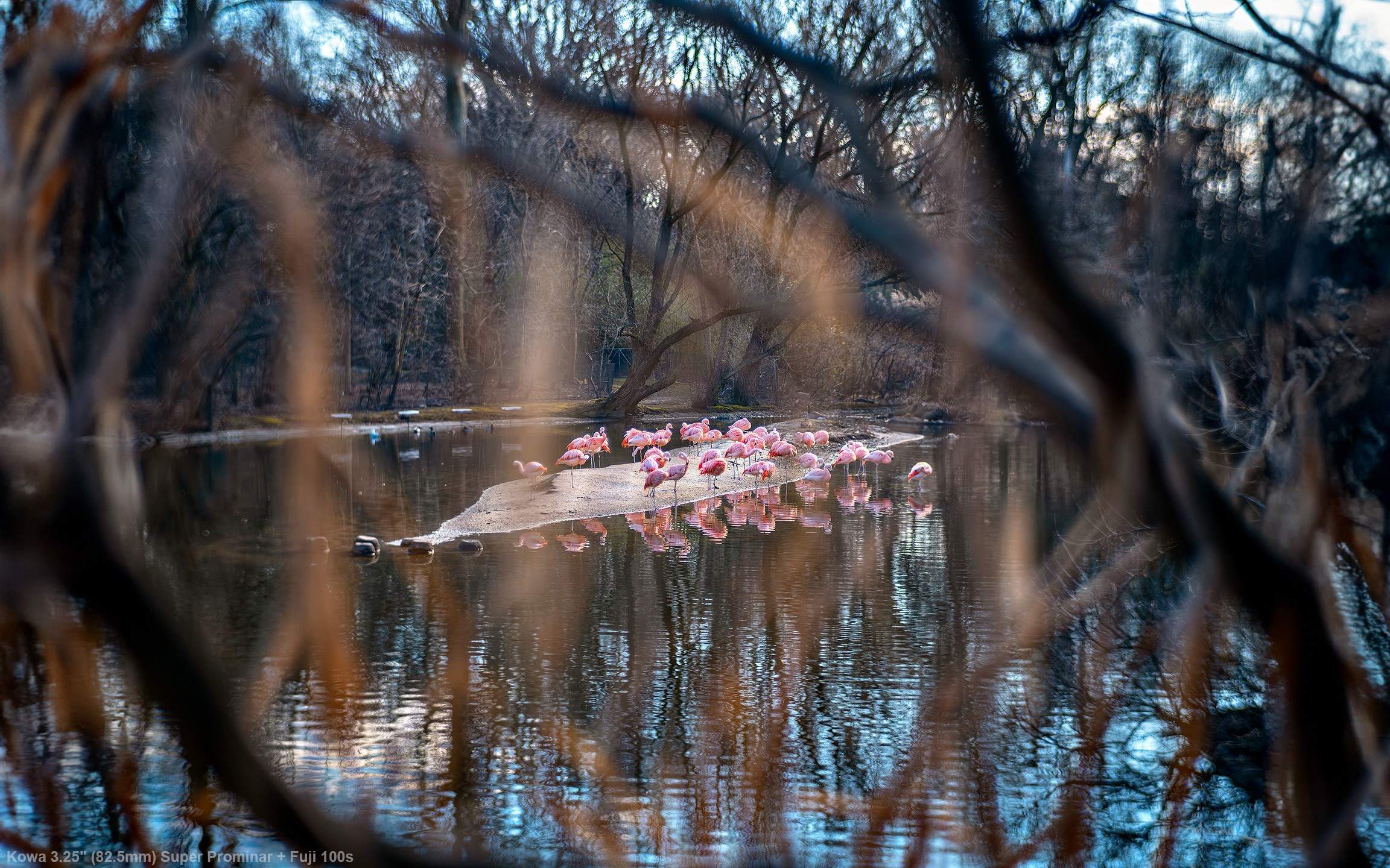 Kowa 3.25” 82.5mm f1.9 Super Prominar + Fuji 100s. Emin Kuliyev — Award-Winning Wedding Photojournalist NYC & USA | Best Wedding Photographer Known for Candid, Timeless Moments