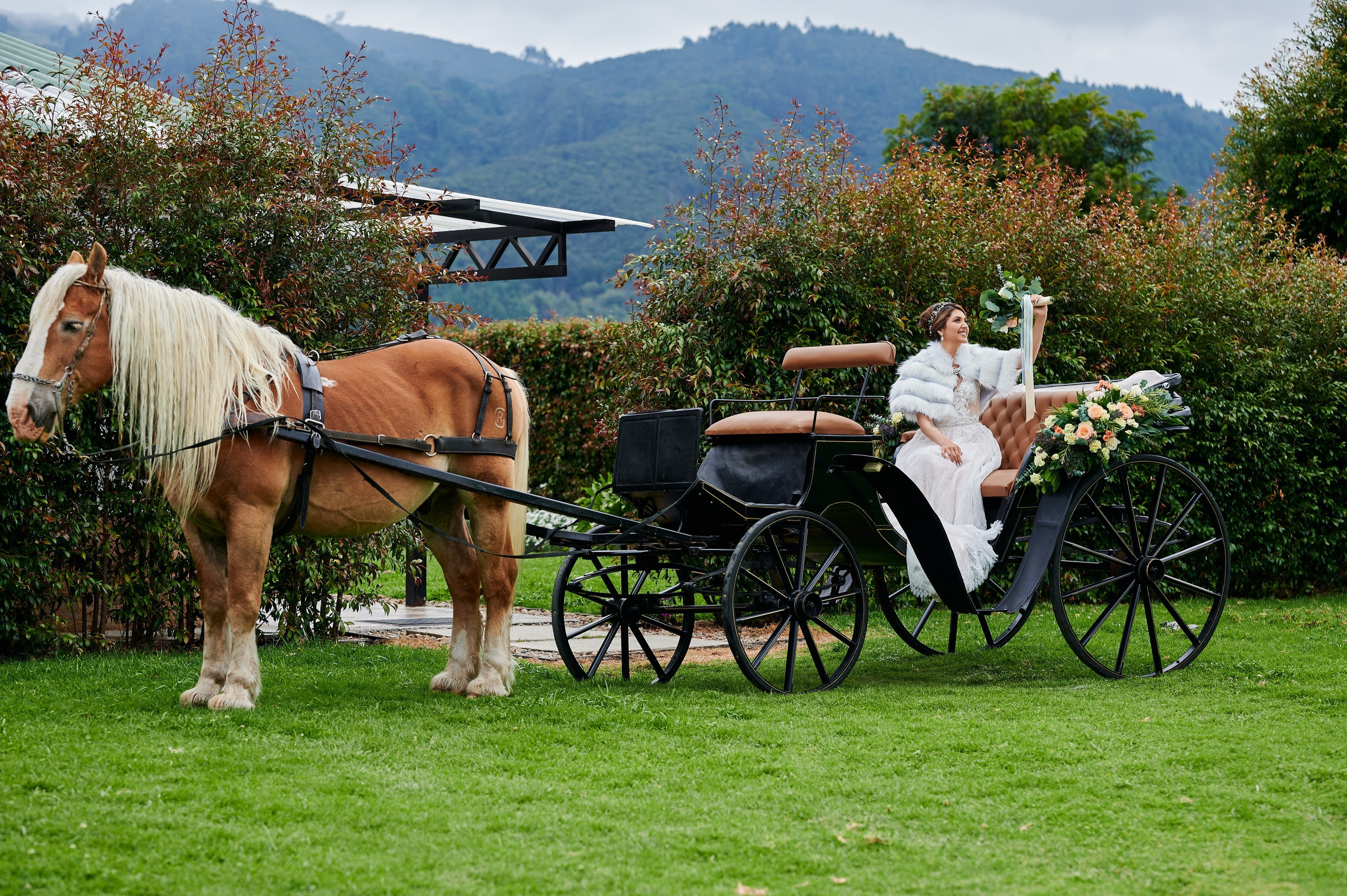 Fotos Con caballos para Quiceaños. Wedding Photography & Videography by ZZ Hendrick | Capturing Your Love Story in Colombia & USA