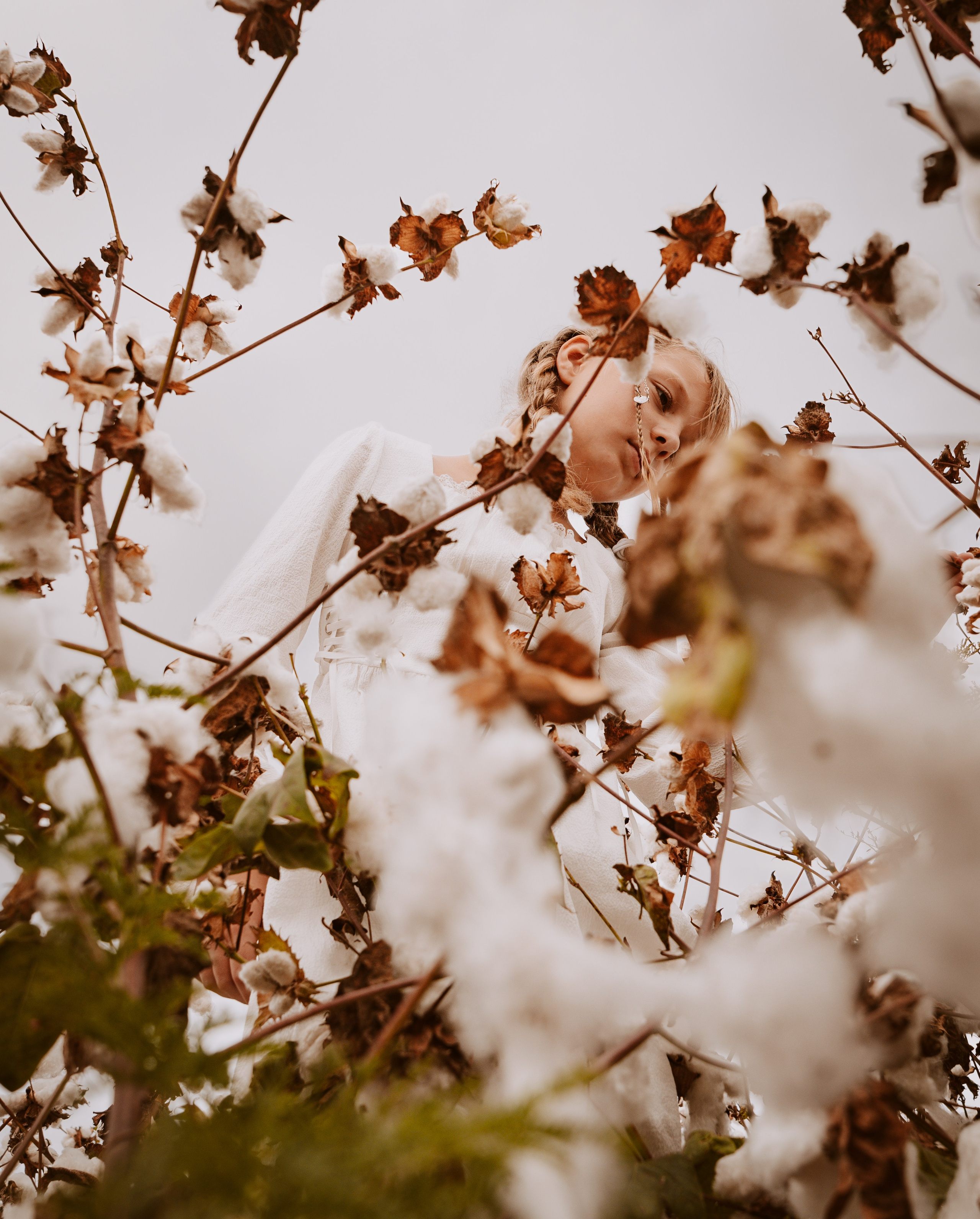 В поле с хлопком. World of Photo