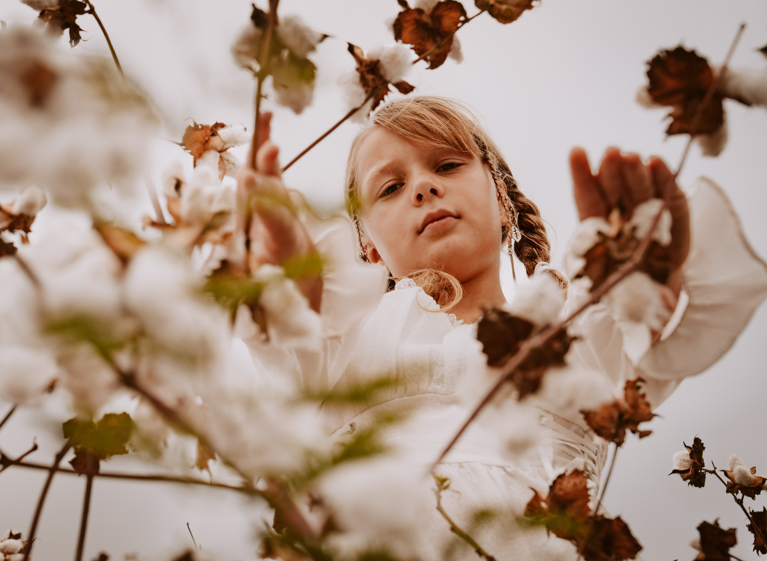 В поле с хлопком. World of Photo