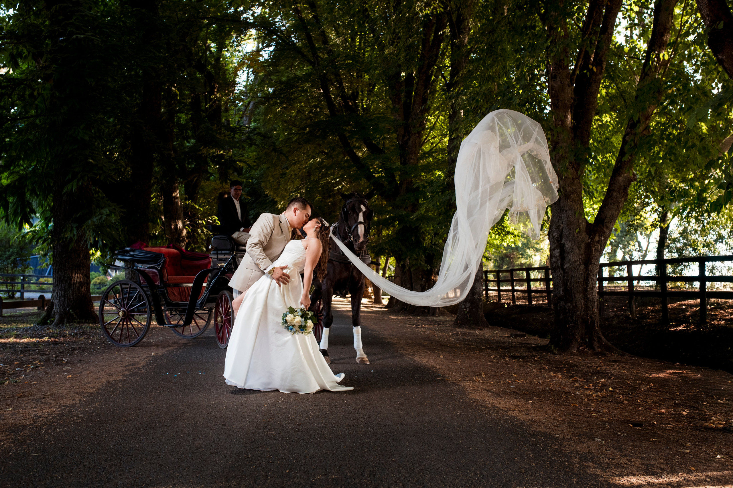 Fernanda y Matías - Haras Santa Amelia, Enero 2026. Wedding photographer AyF Fotografías