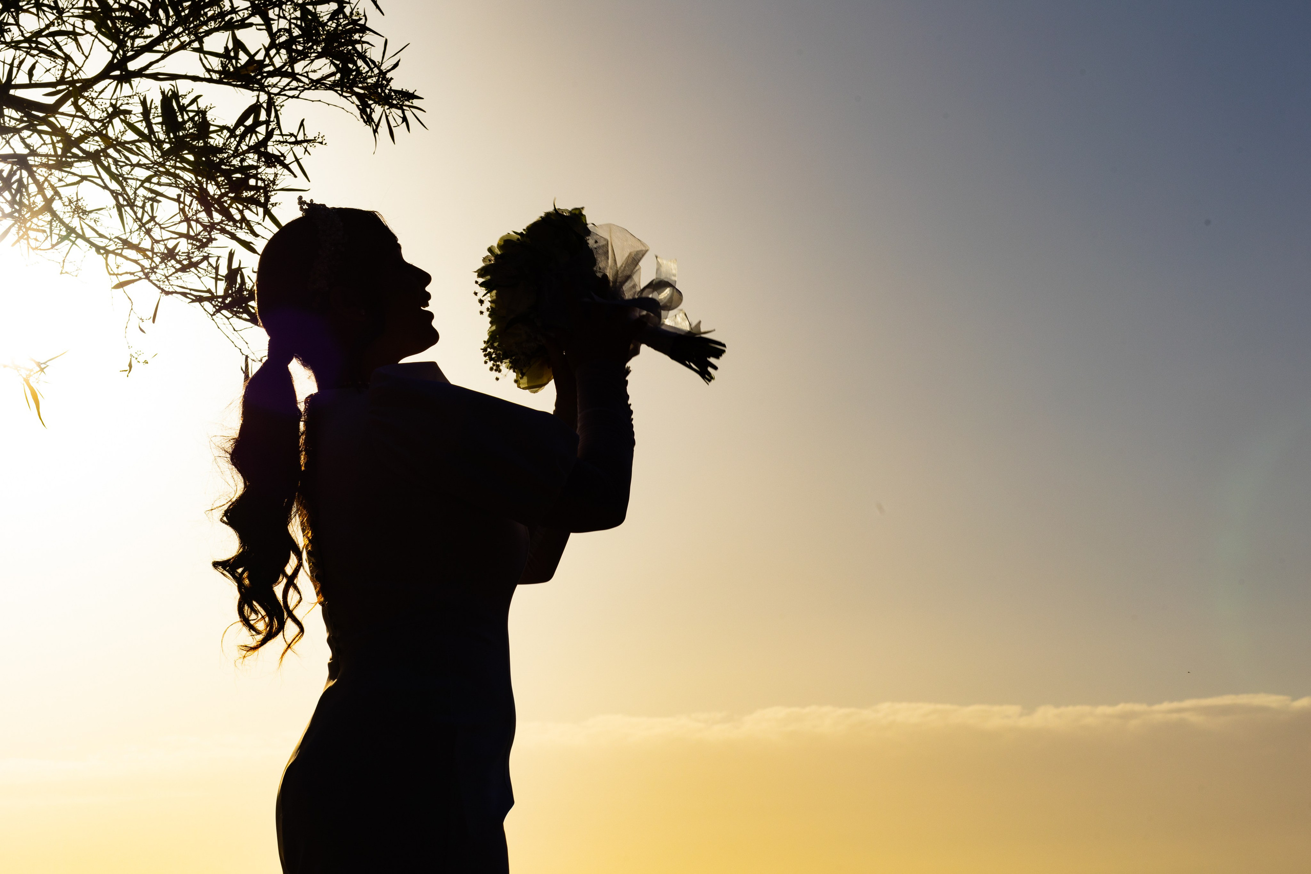 N&S. משה מנשה צלם חתונות