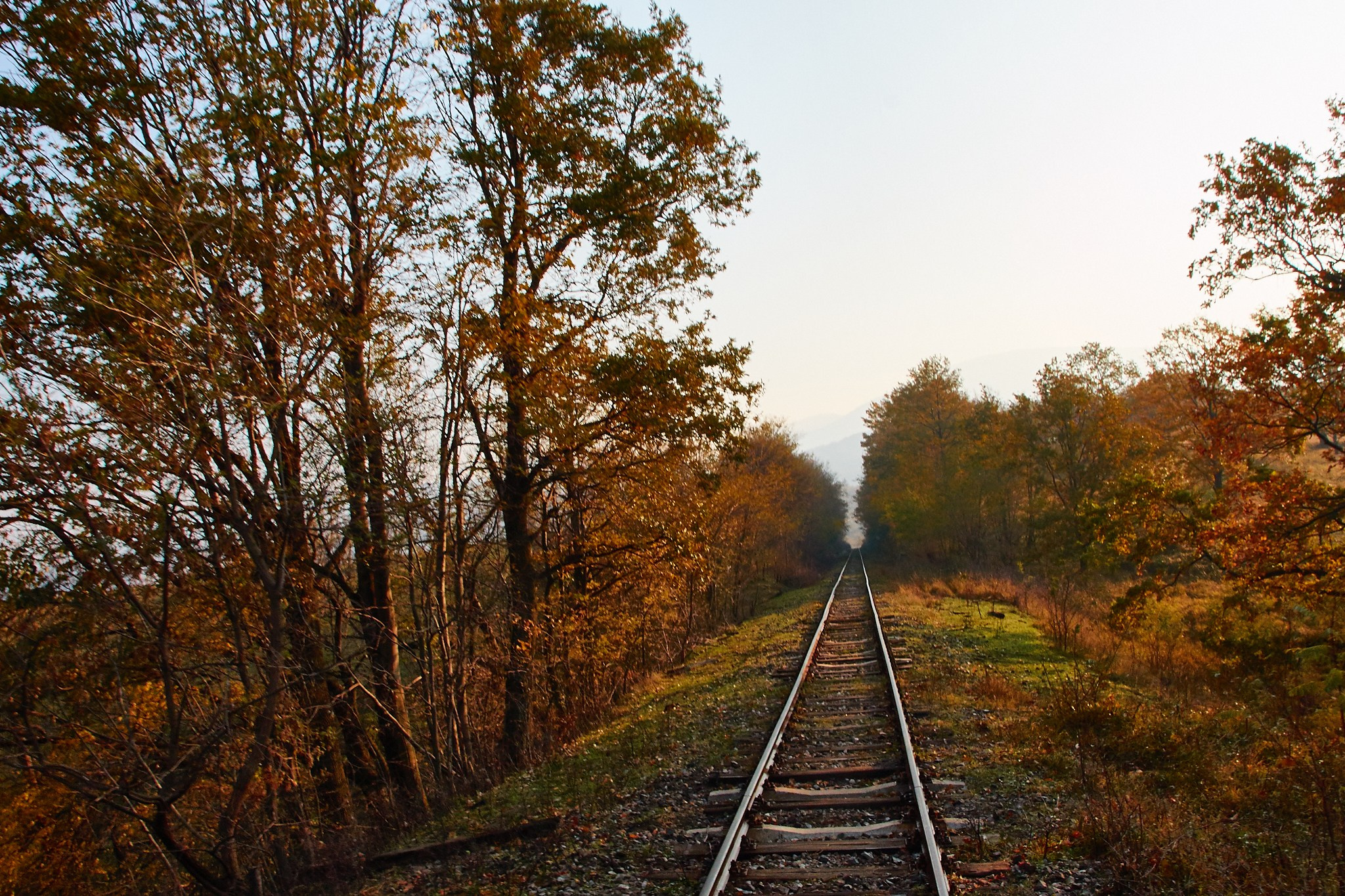 Toamna pe calea ferată Oravița-Anina, jud. Caraș-Severin. Pagina principală