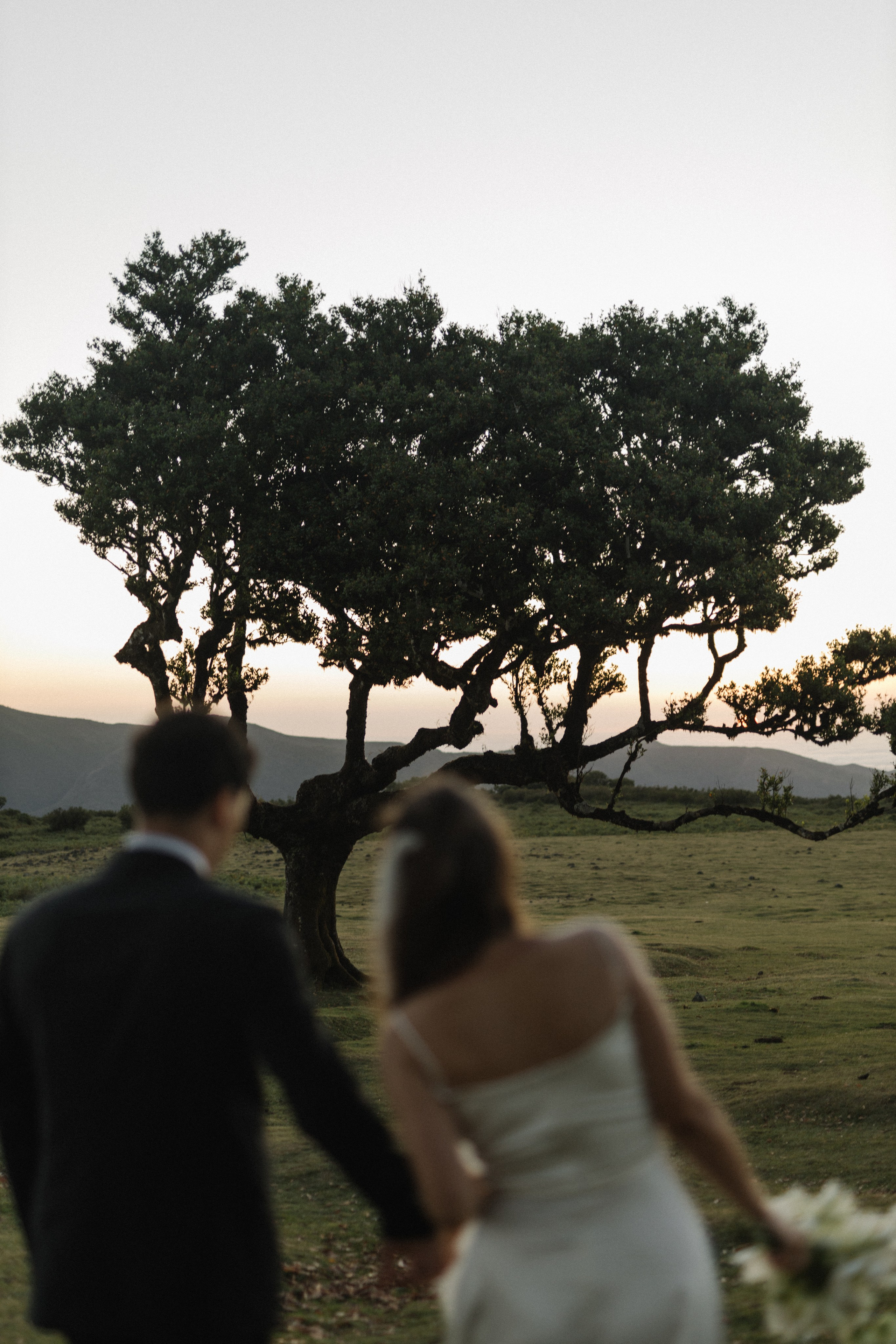 Elopment. Photographer Madeira