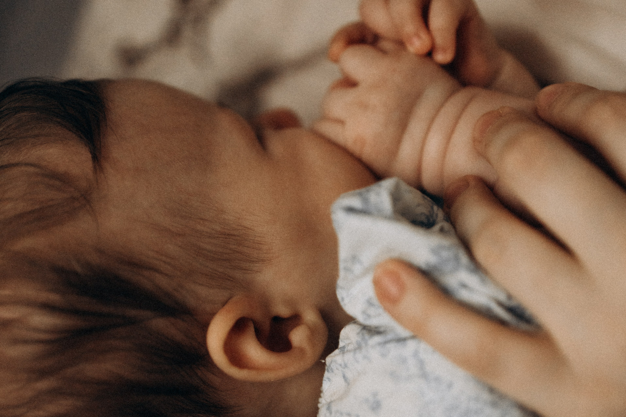 *. Wedding and family photographer San Diego