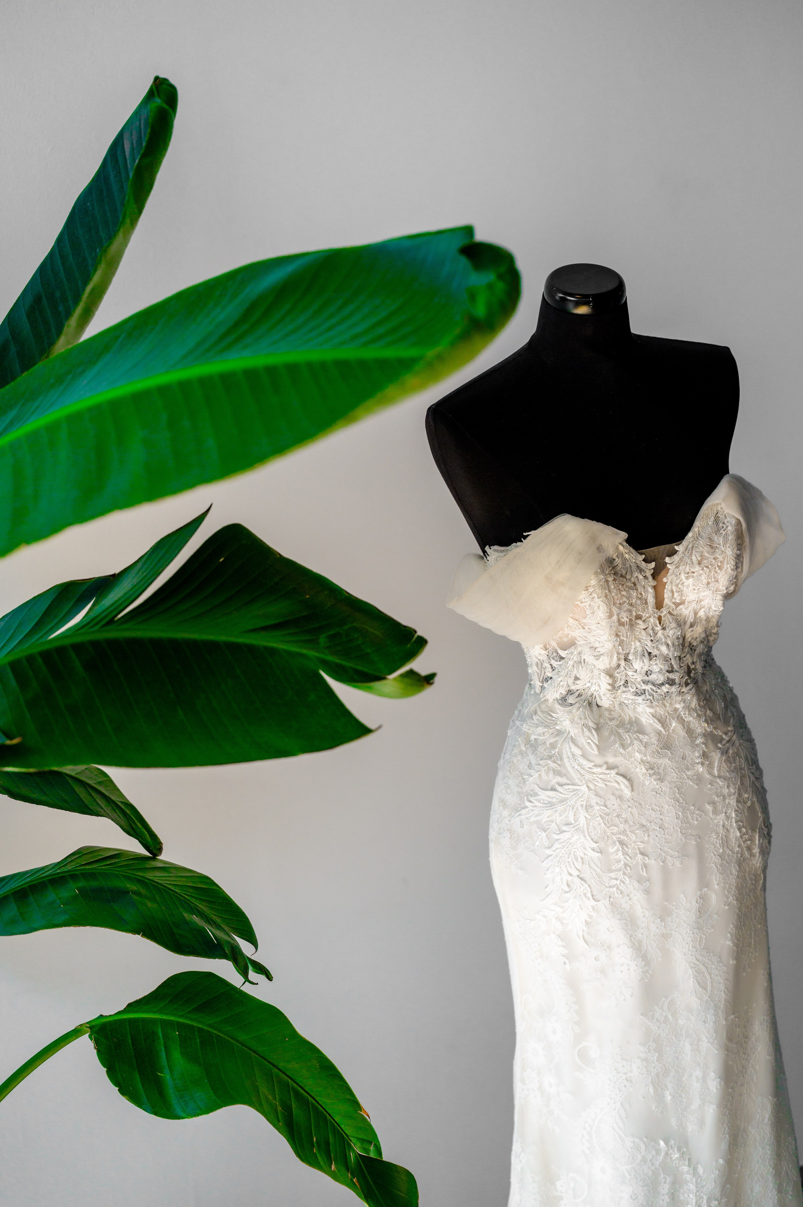 BYZO MEDIA. PETRU BYZO - family and children photographer in ROMANIA