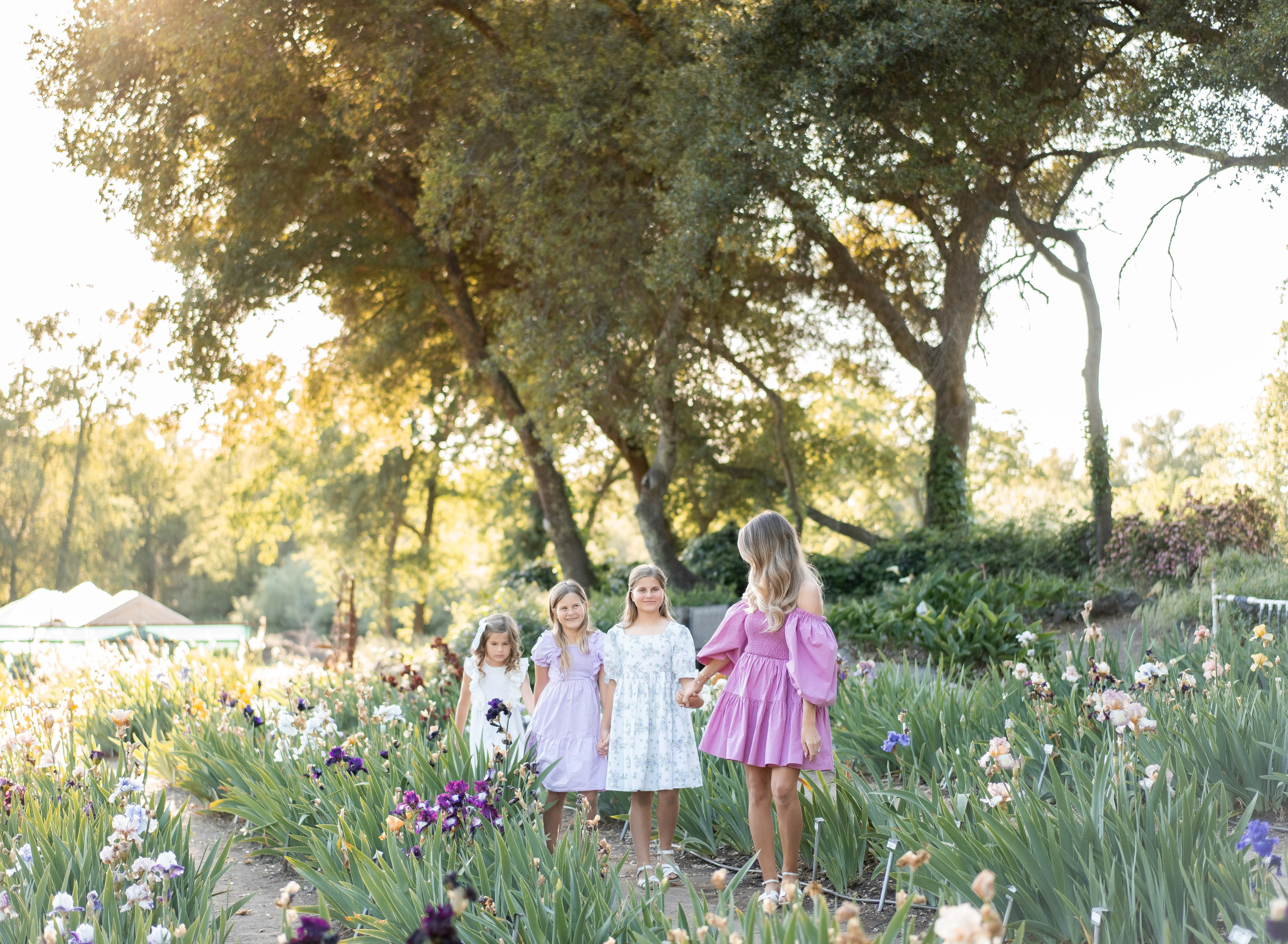 Beshta family. Family photographer in Sacramento | Sofia Pavenko