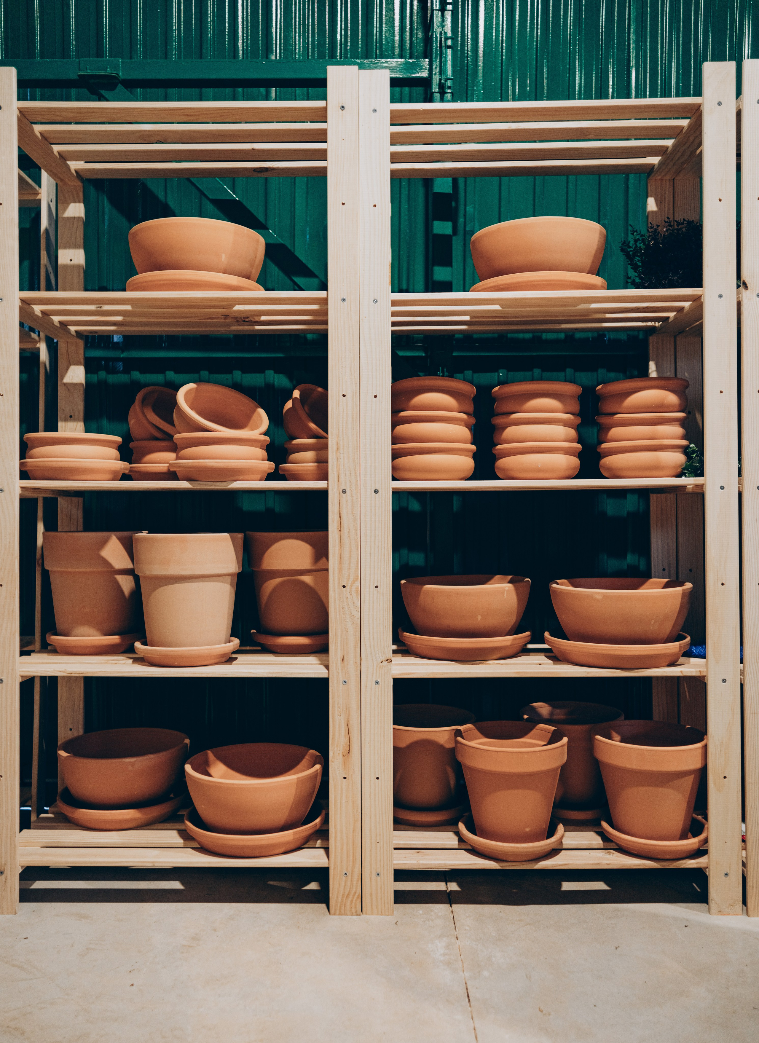 Centro Jardin. Photographer in Mallorca