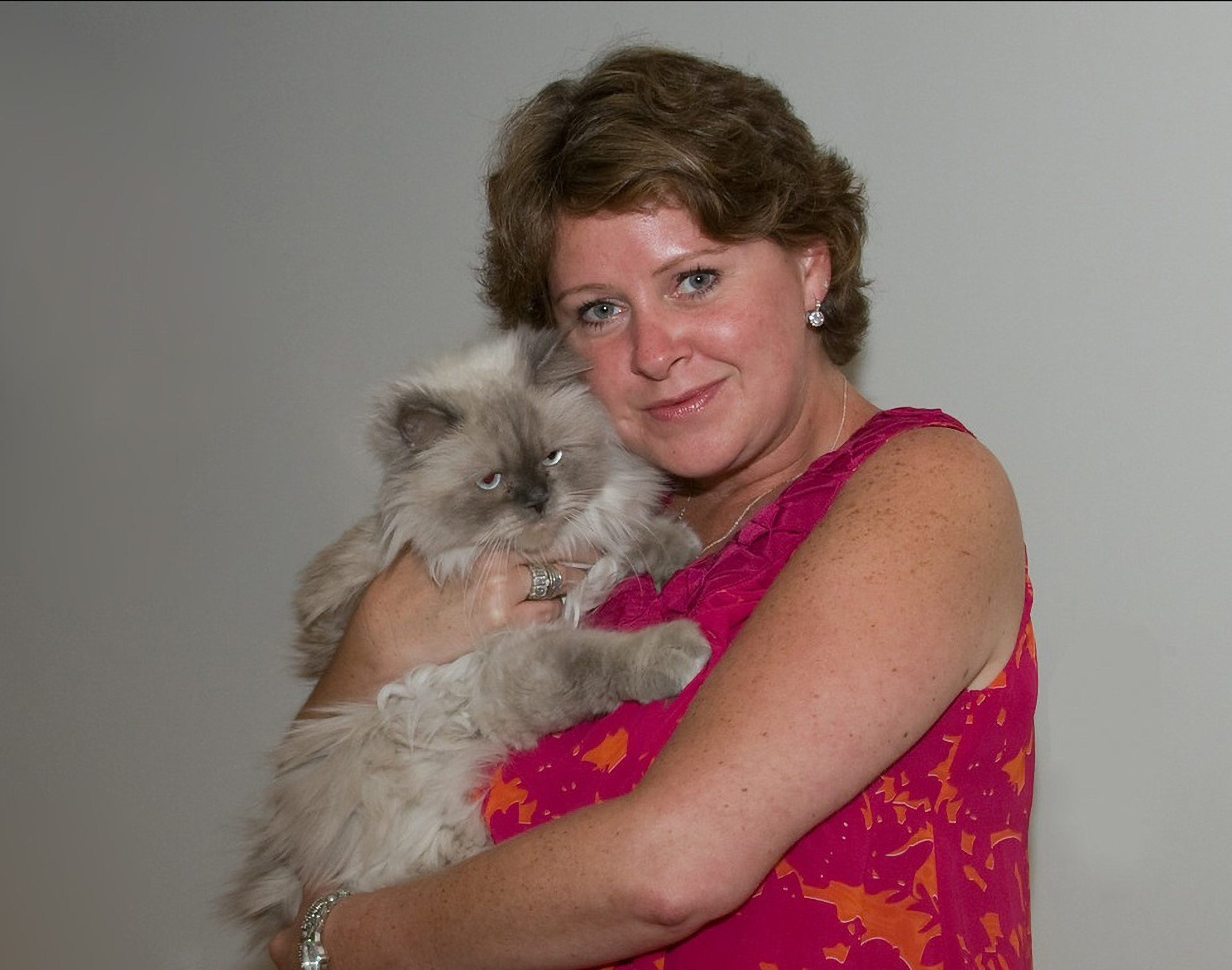 Animal de Compagnie. Studioplaza8