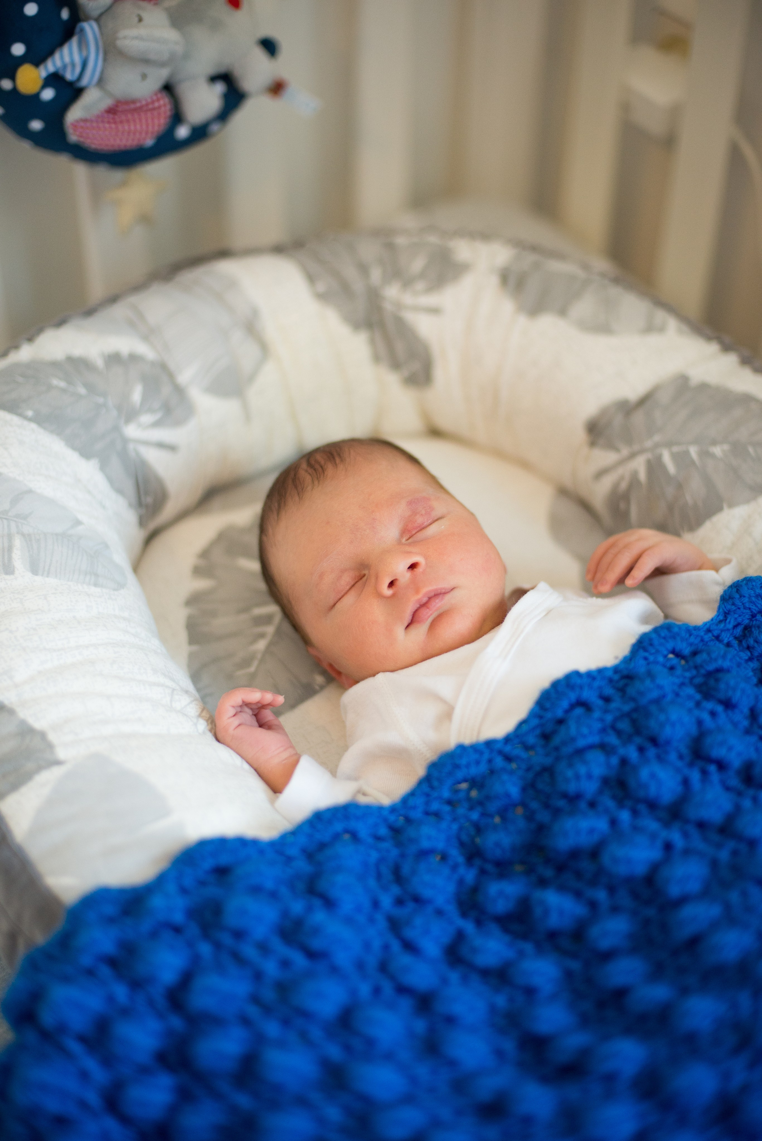 Семья Ильи и Мелани. Визуальный брендинг