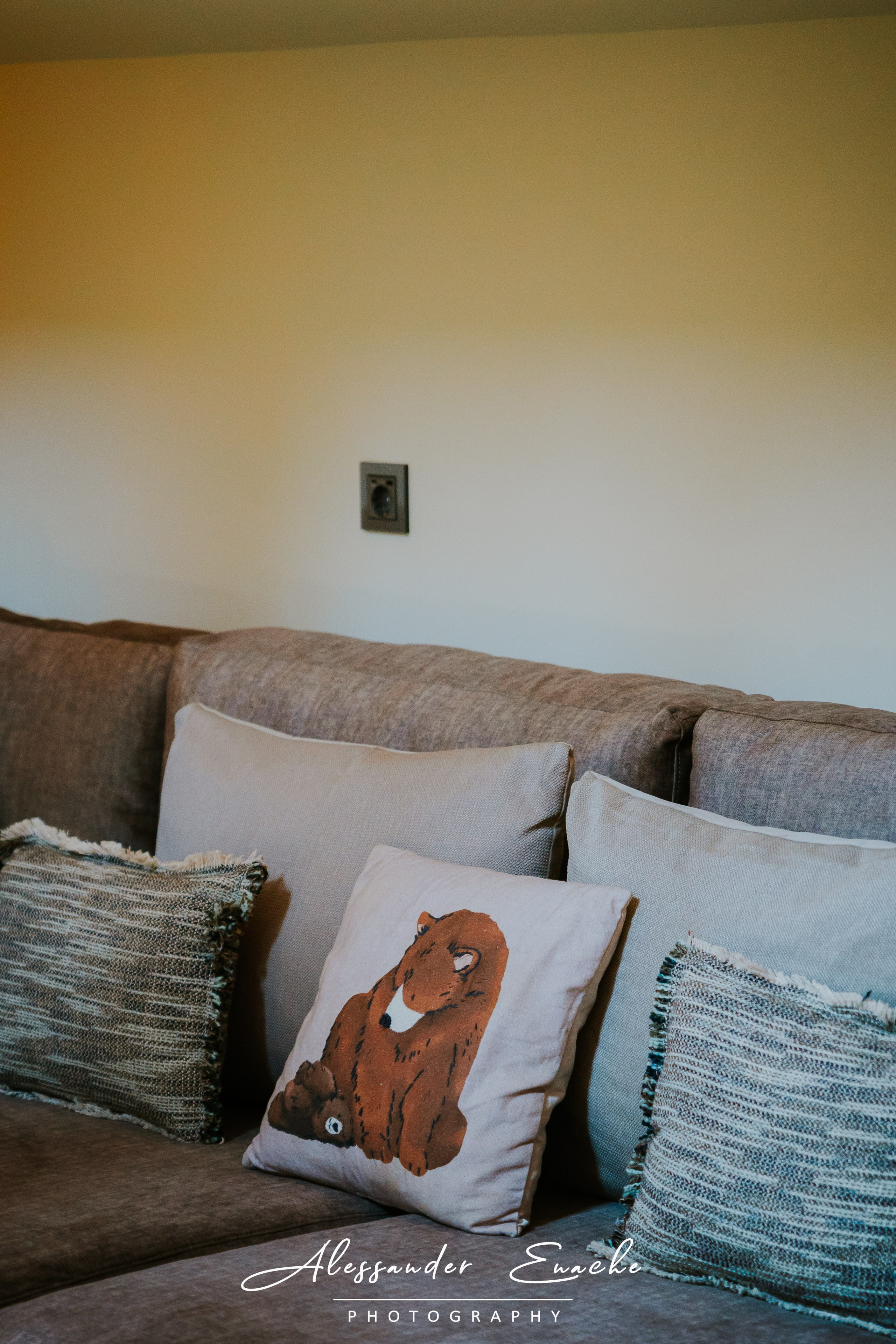 BĂRLOGUL URȘILOR. Fotograf prin #Piatraneamt-Alessander Enache