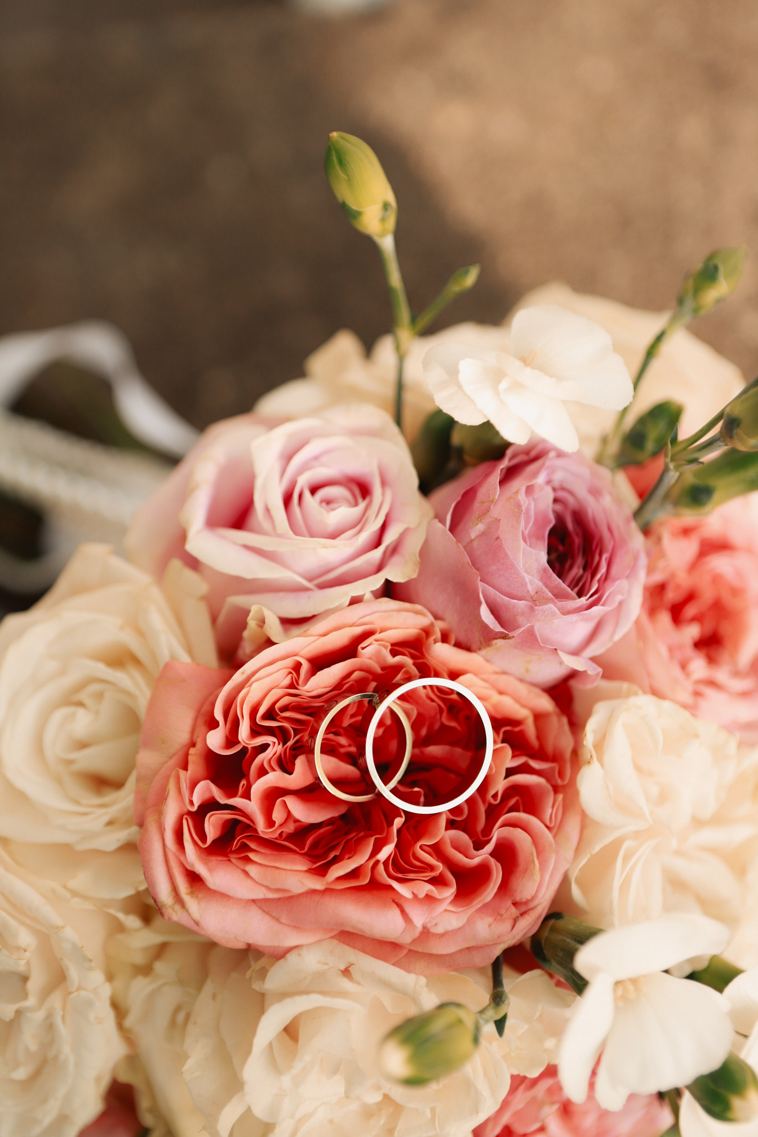 V+N. Portrait and family photographer in Charlotte, North Carolina