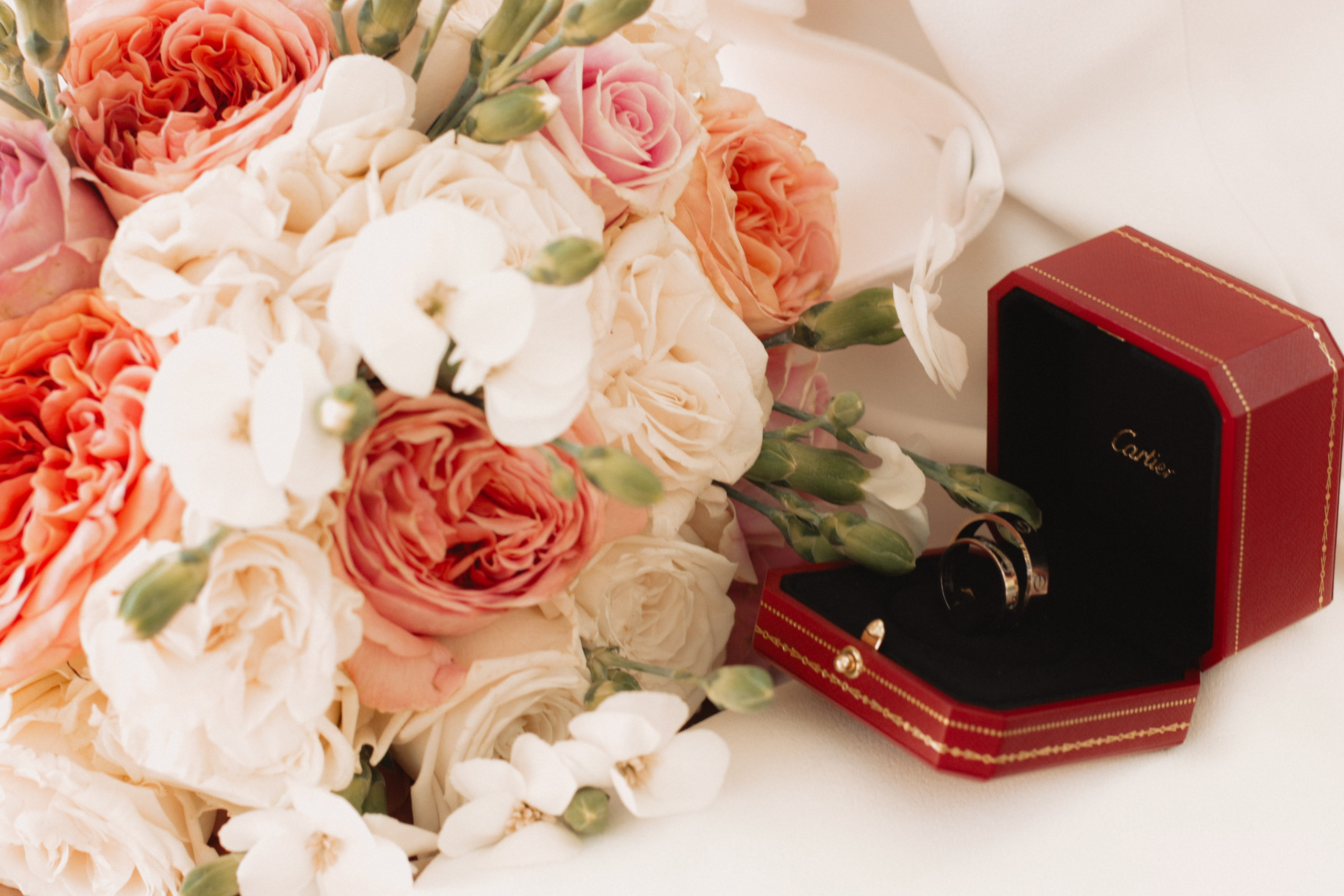 V+N. Portrait and family photographer in Charlotte, North Carolina