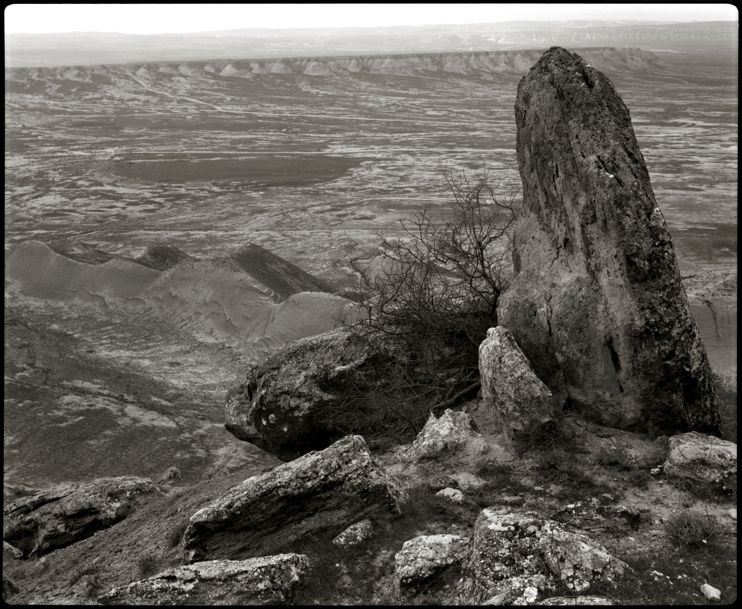 NATURE. Www.sananaleskerov.com