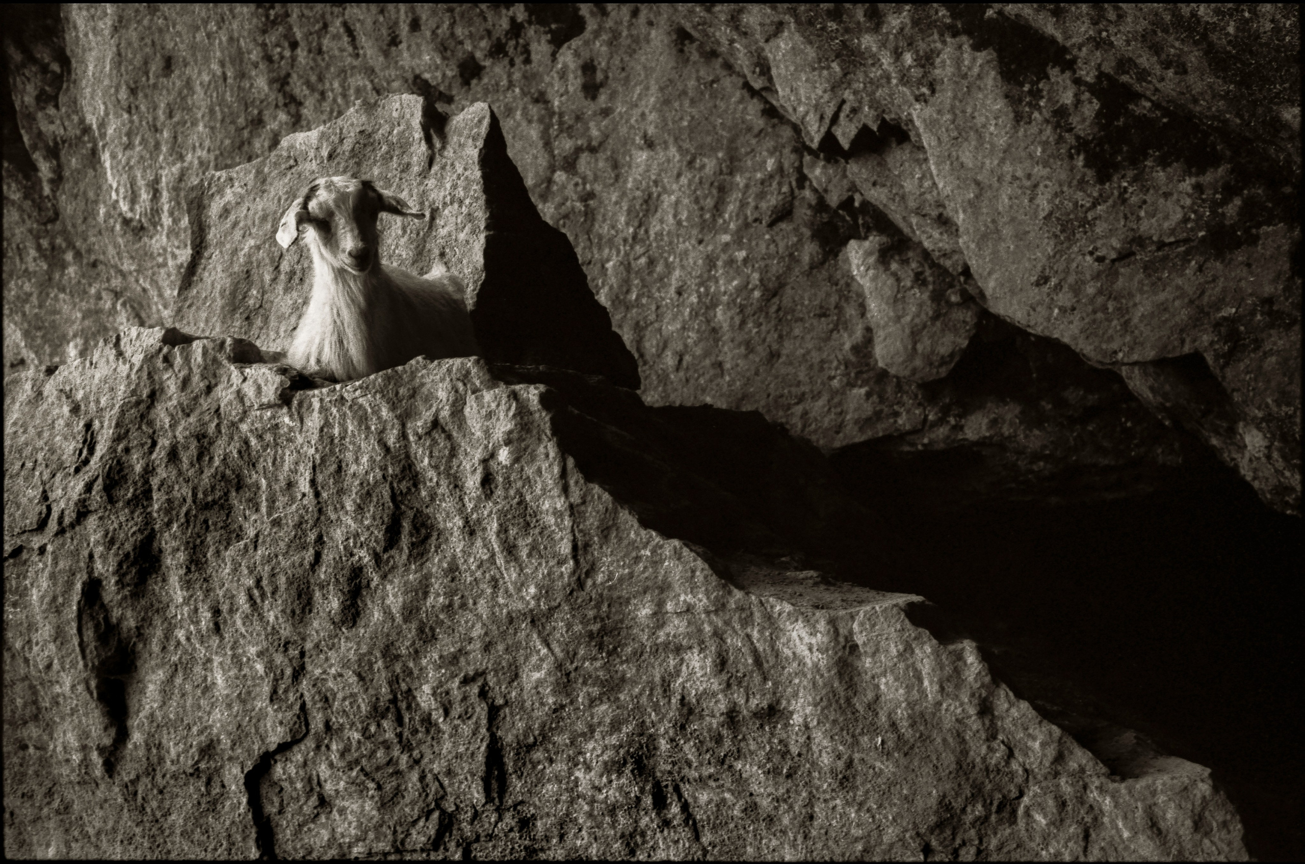 NATURE. Www.sananaleskerov.com