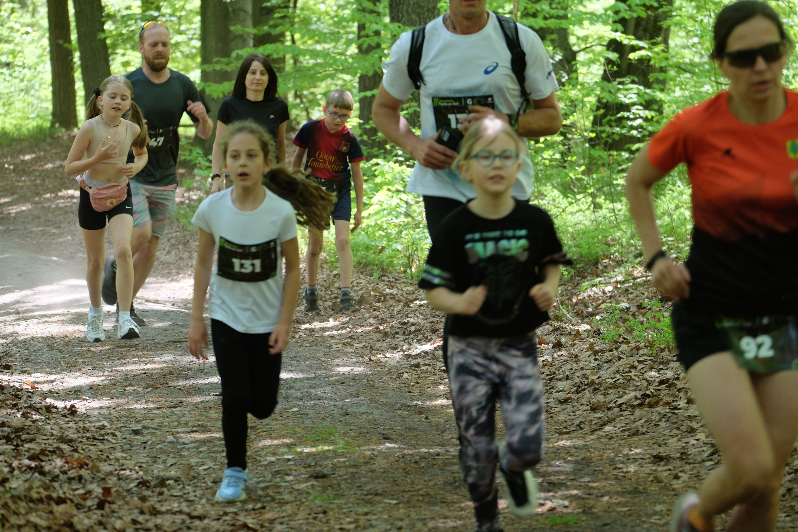 Aleksandryjska Piątka po lesie. Main