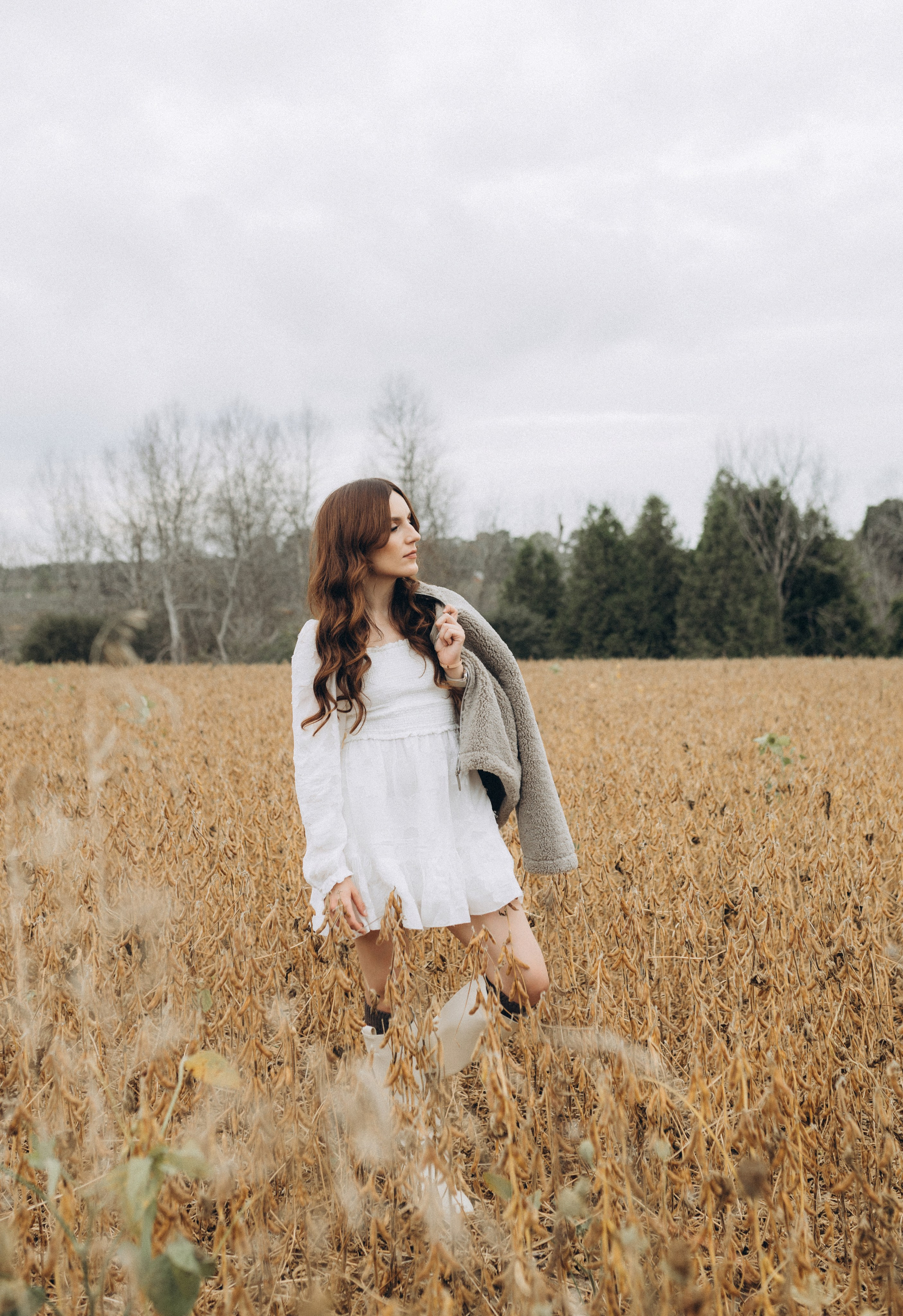 Alpacas Farm. Chernenko.photography