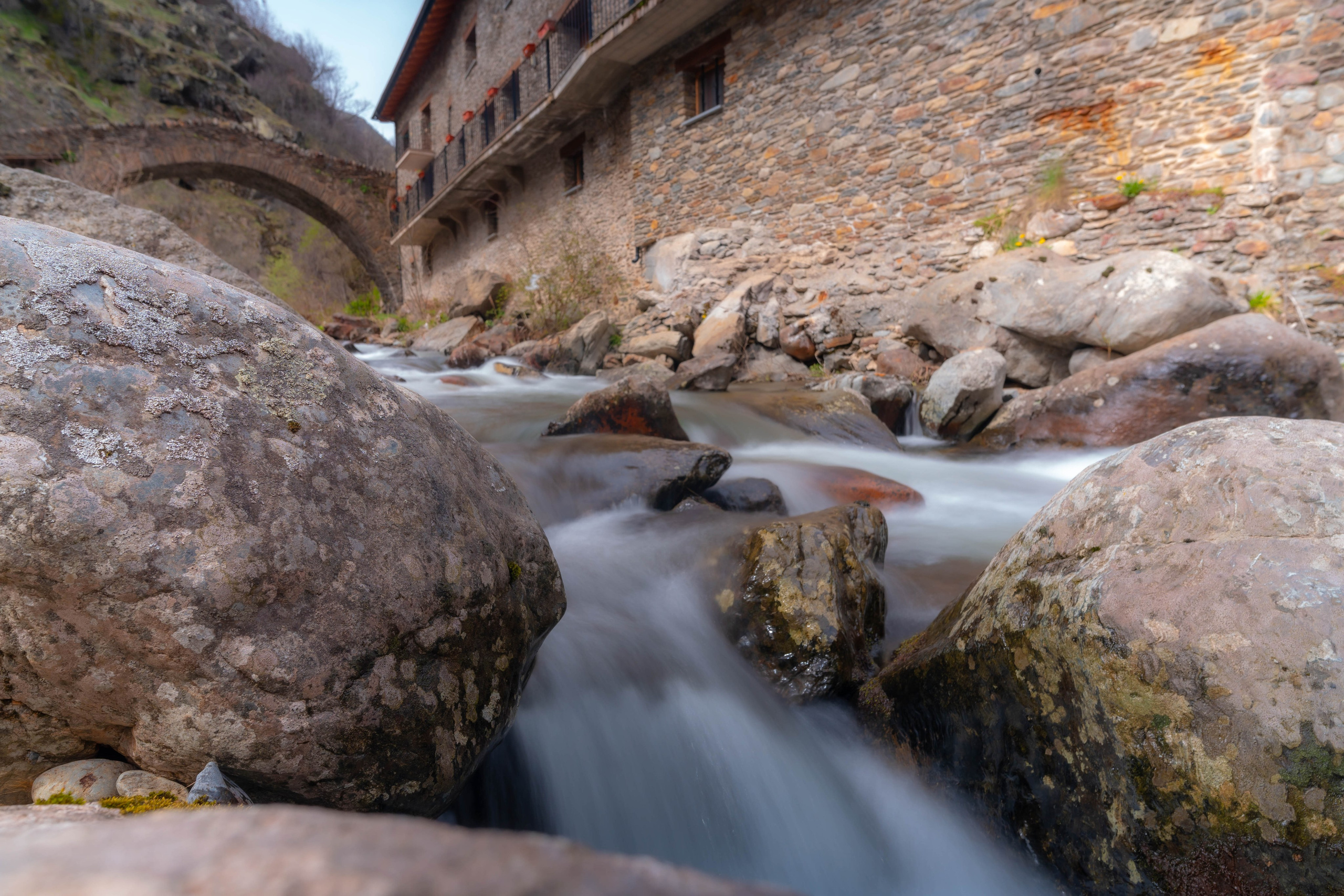 Ruta Comas de Fort. Alba del Norte Studio