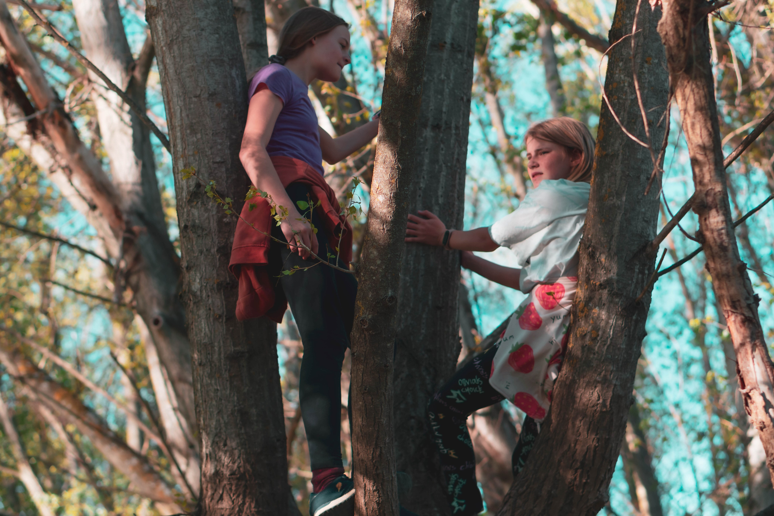 Noa&Agnia. Alba del Norte Studio