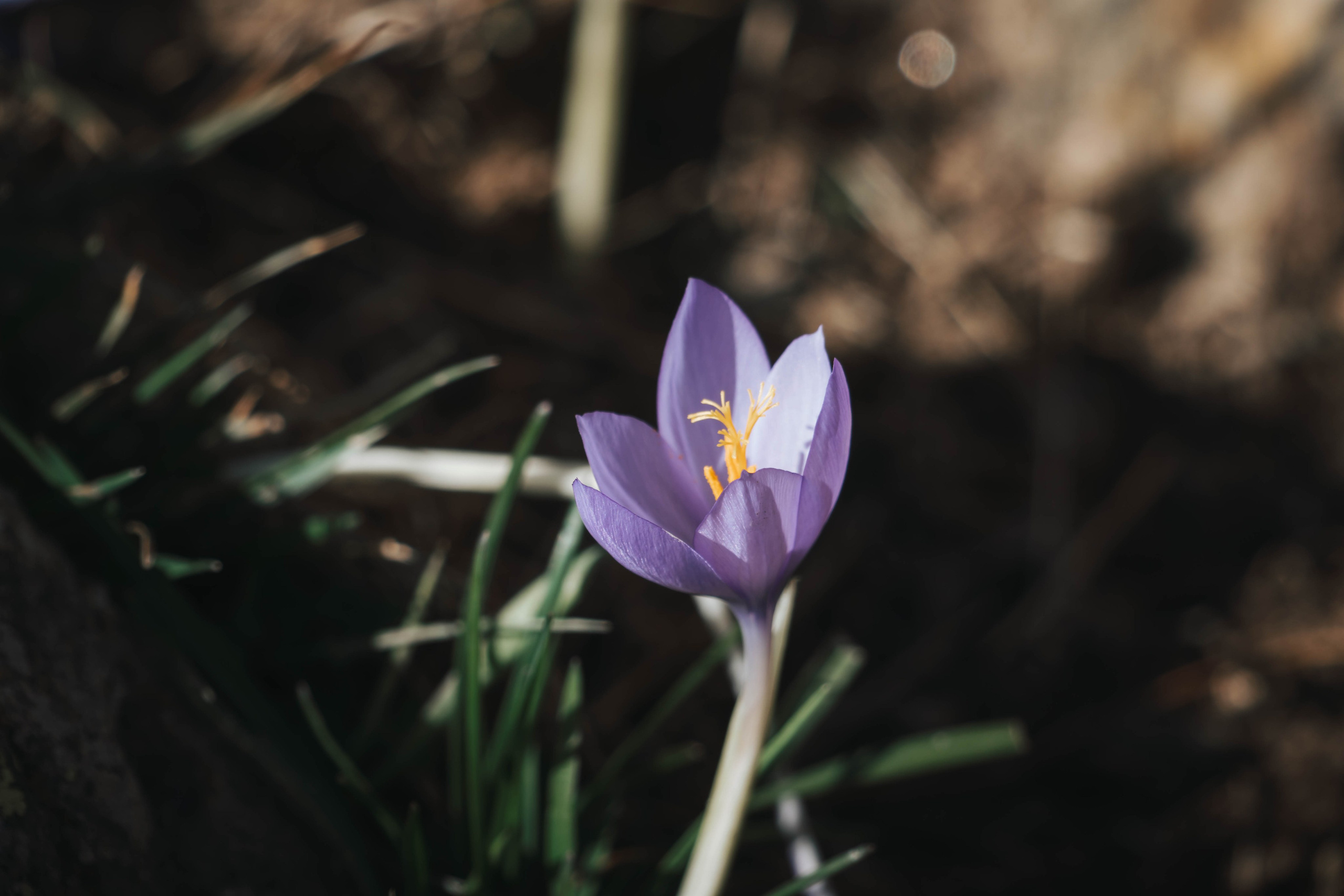 Bocetos. Alba del Norte Studio